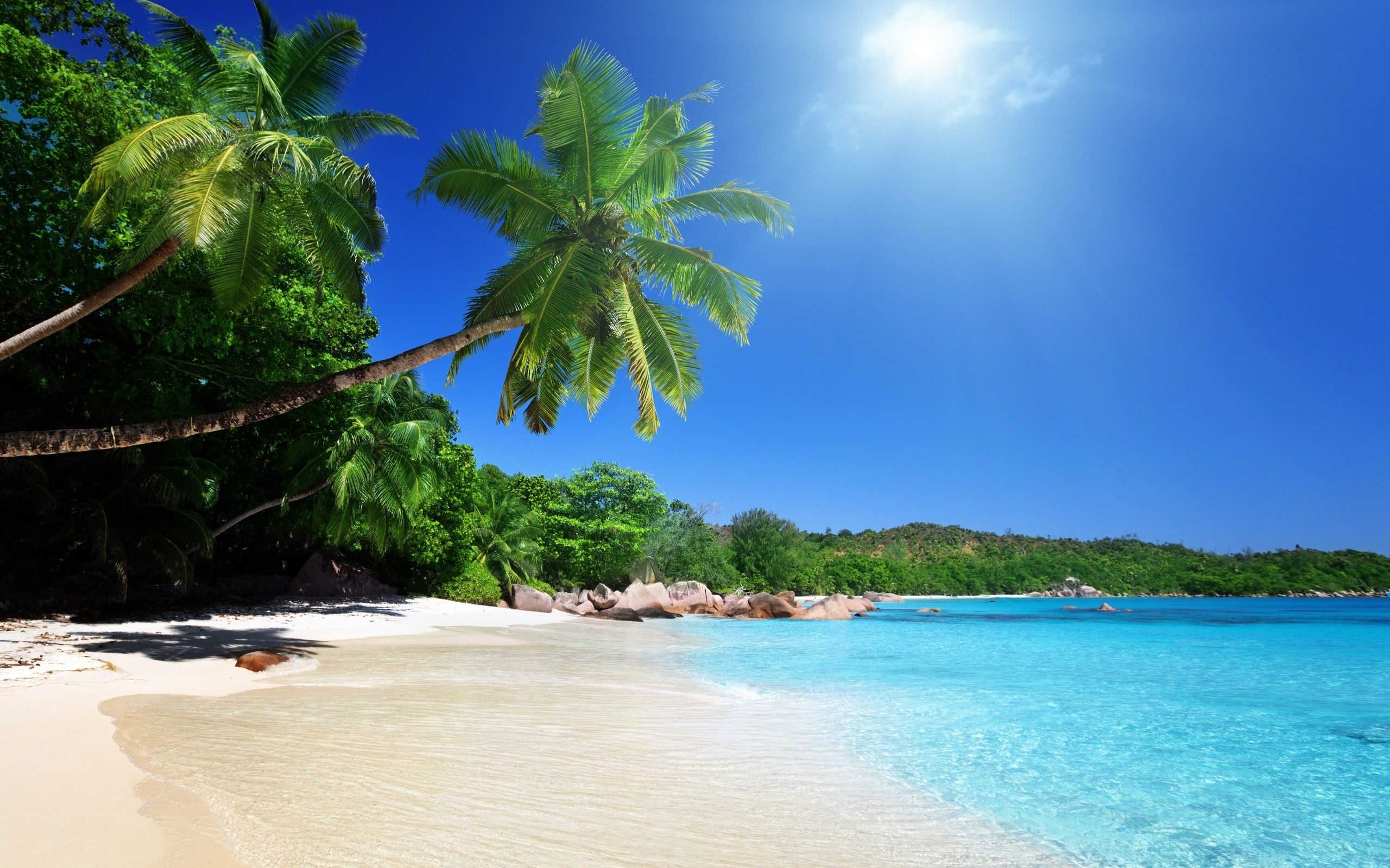 Proven Postcard System Pays Multiple $98.00 Payments Directly To Your Bank!