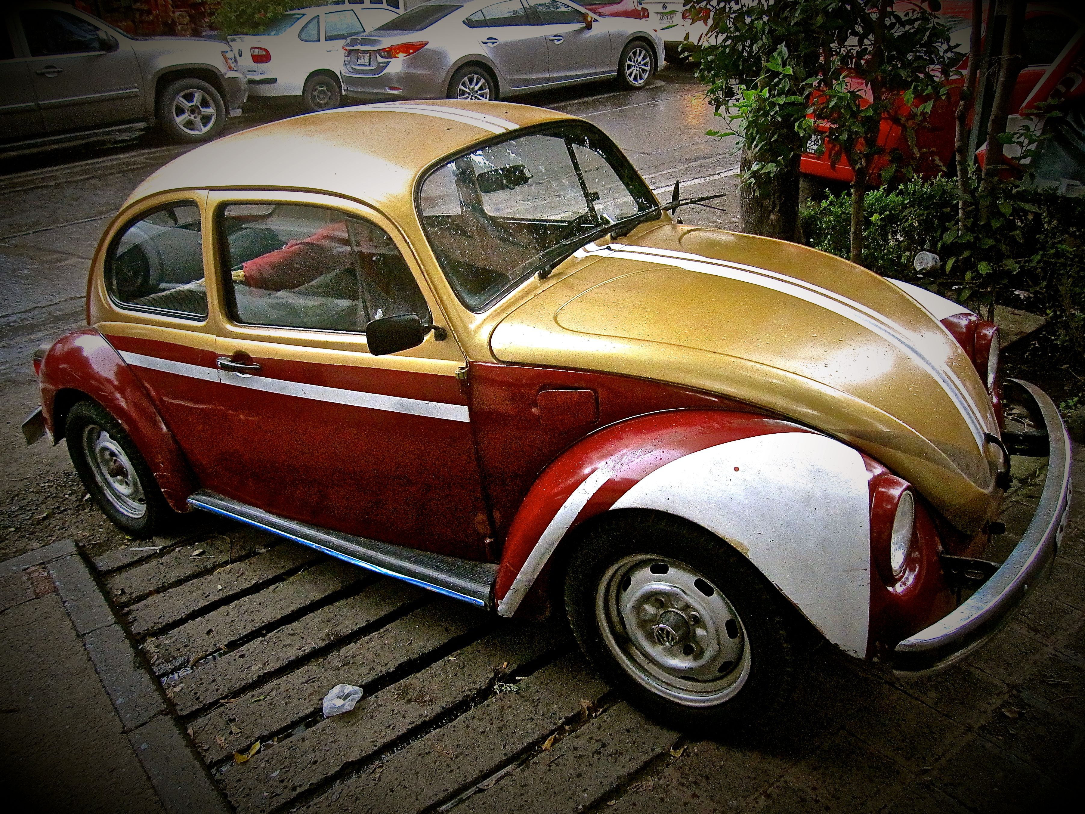 Wallpaper, street, urban, Volkswagen Beetle, Mexico, vintage, gold, Vintage car, ciudad, automobile, classic, vw, df, calle, automotive design, automotive exterior, compact car, motor vehicle, antique car, city car, subcompact car, burgundy