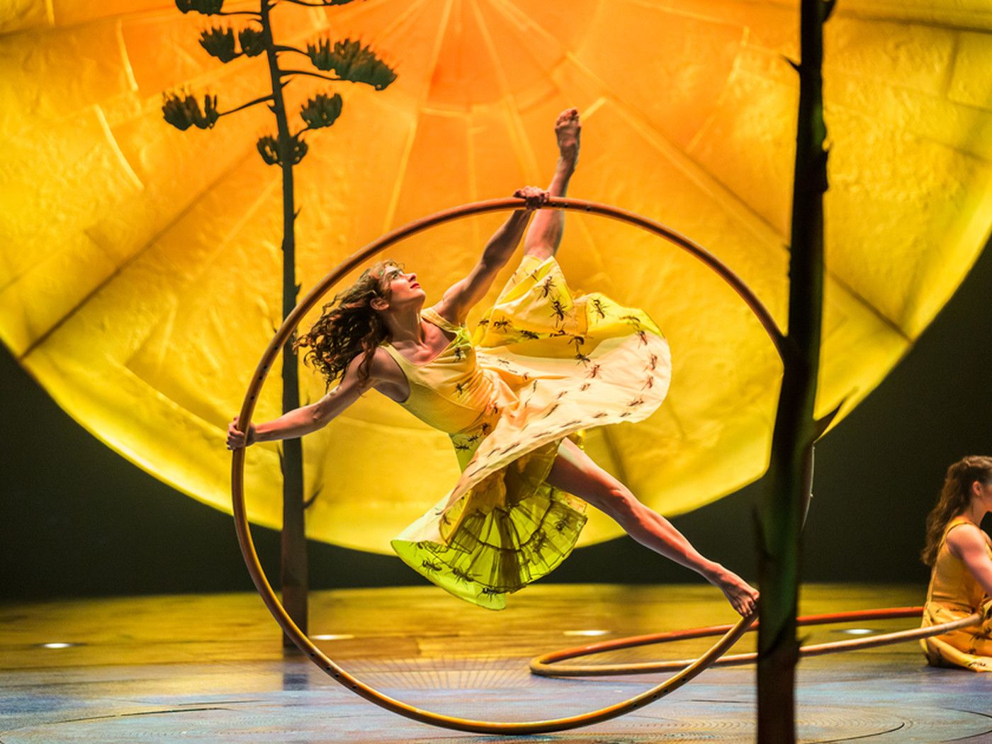 Cirque Du Soleil's Gorgeous 'Luzia' A Steady Stream Of Wonderments Sun Times