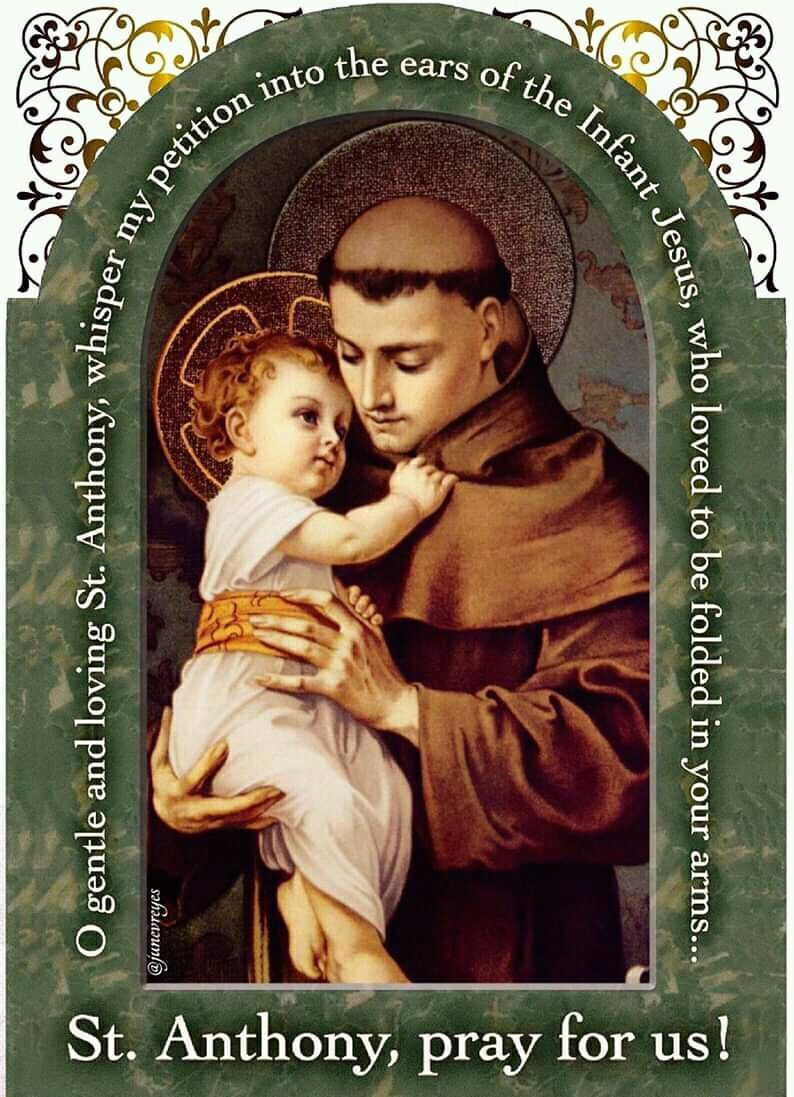 St. Anthony of Padua ideas. padua, saint anthony of padua, saint anthony