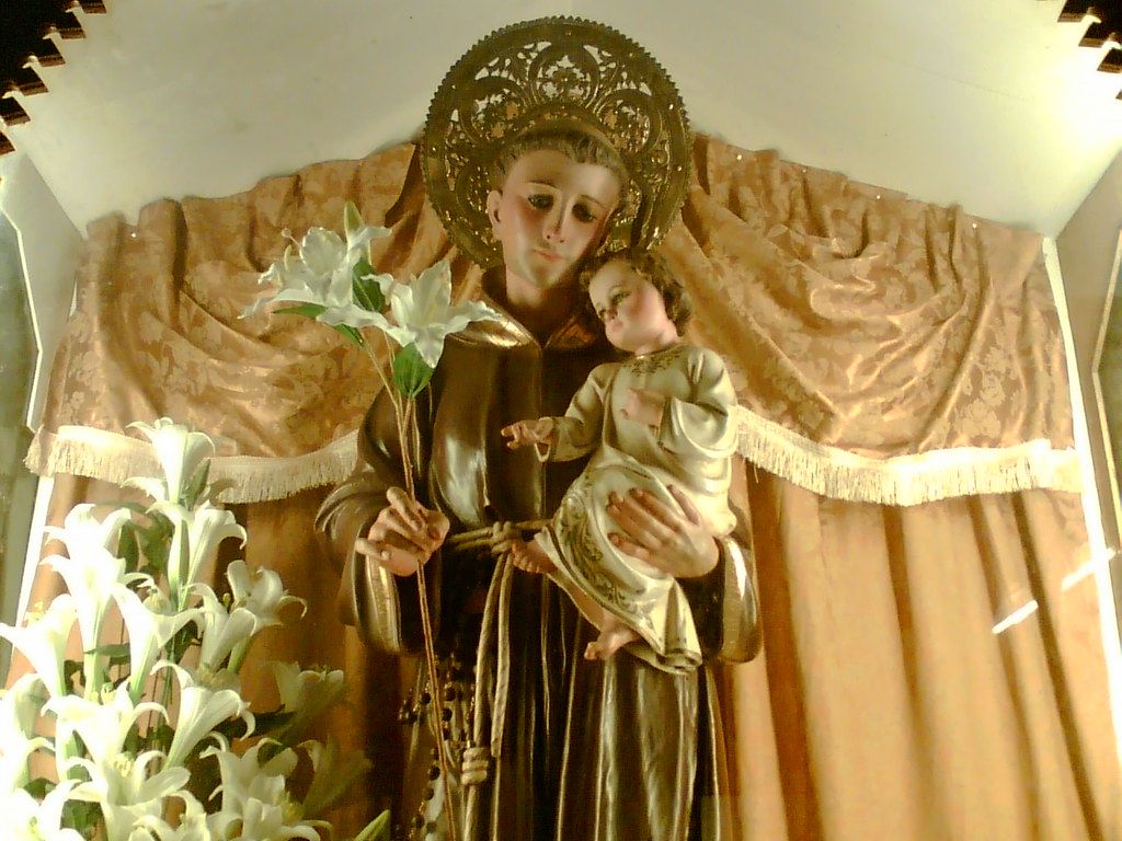 st. anthony of padua, mla. 1. st. anthony of pa