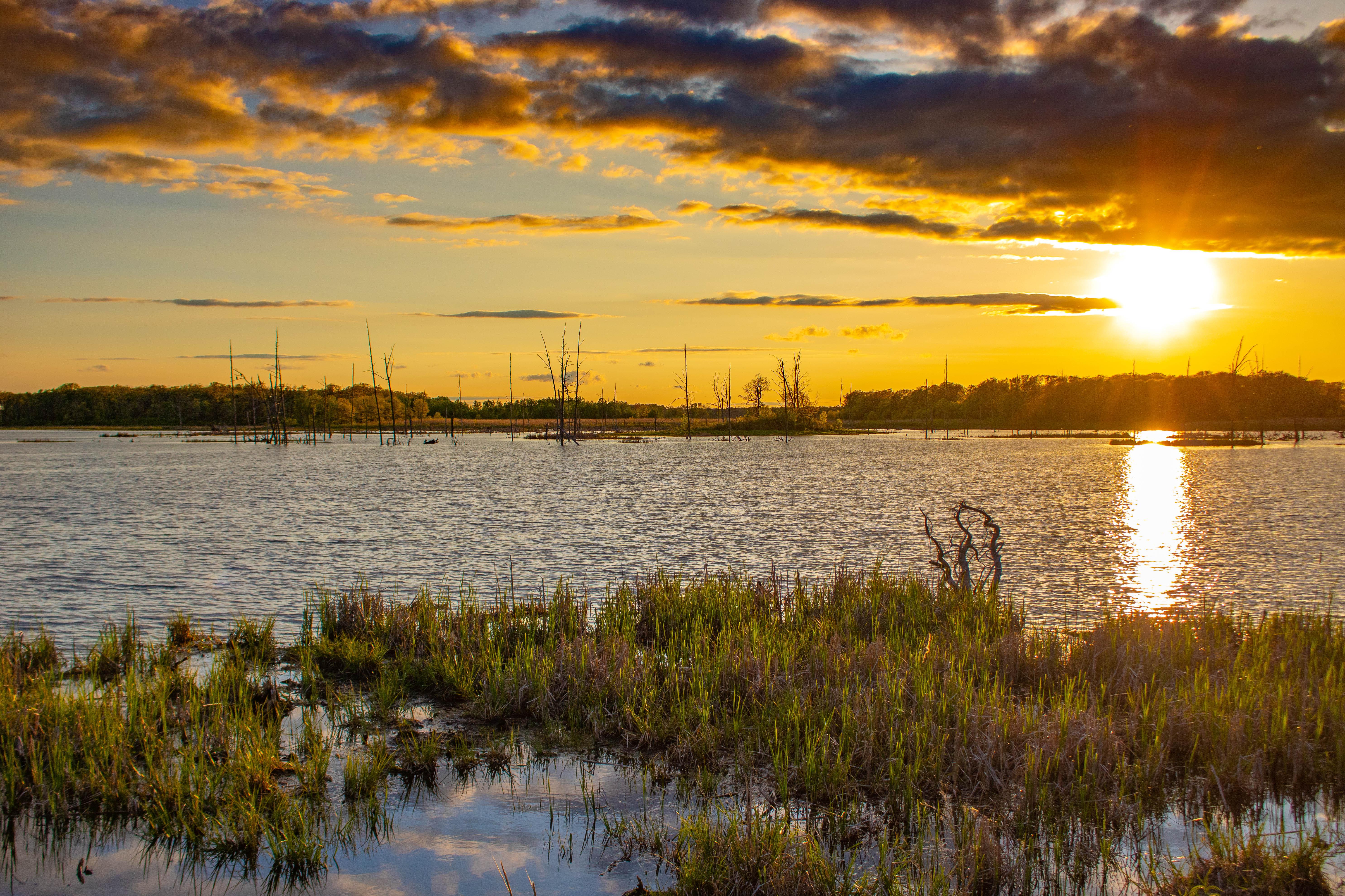 Summer Sunsets. Sherburne Wildlife Refuge 4K wallpaper