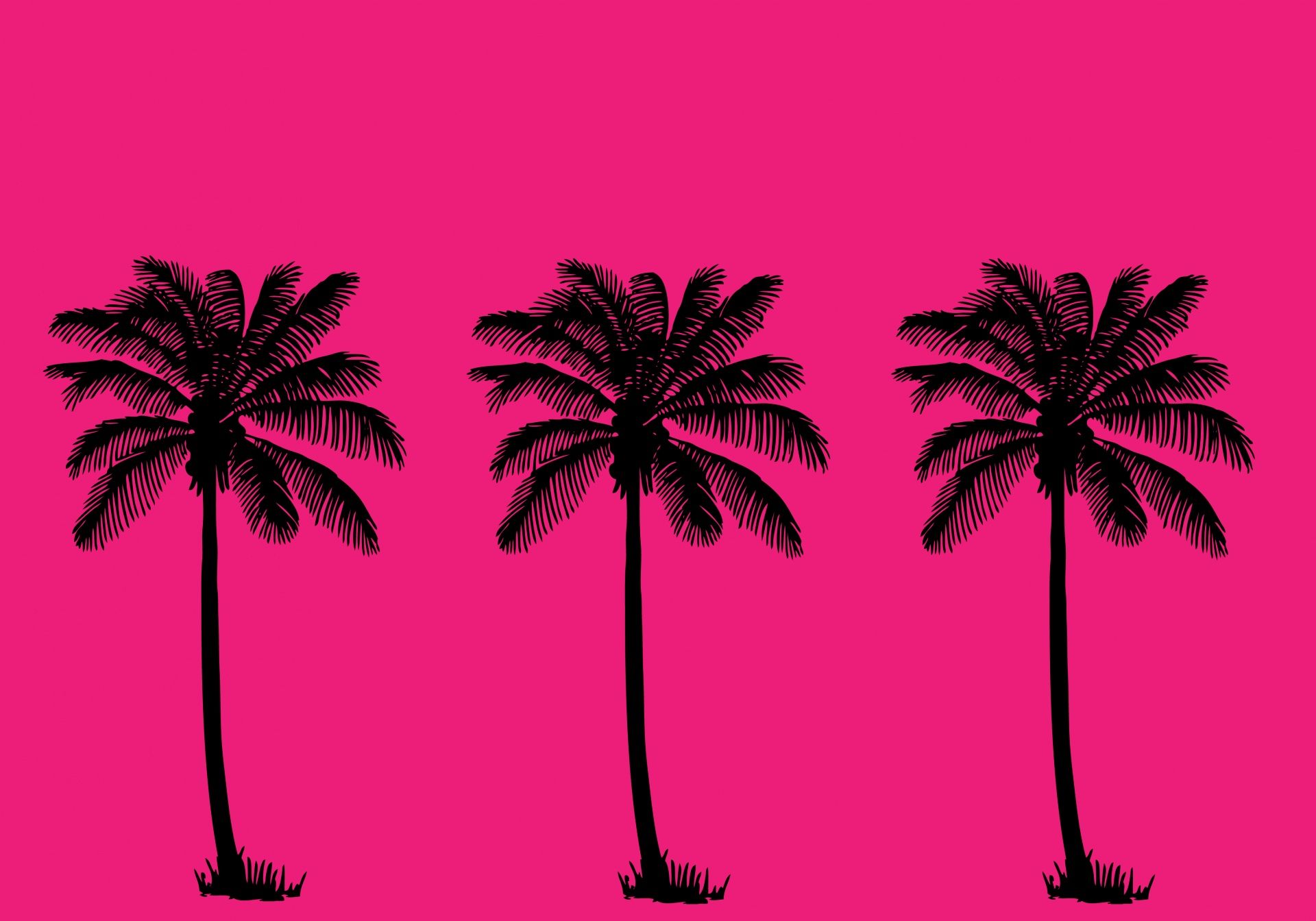 Palm Trees Summer Wallpaper Free Domain Picture