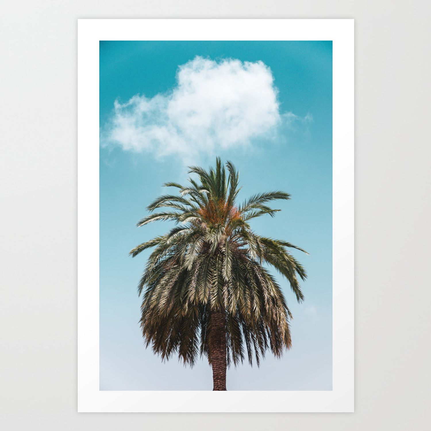 Palm Trees in Barcelona, Digital Print, Spain, Summer Wallpaper, Nature Photography, Printable Photo Art Print