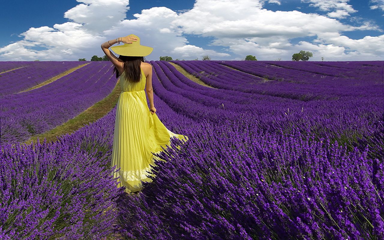 Photos Hat walk Summer Nature young woman Fields lavender frock