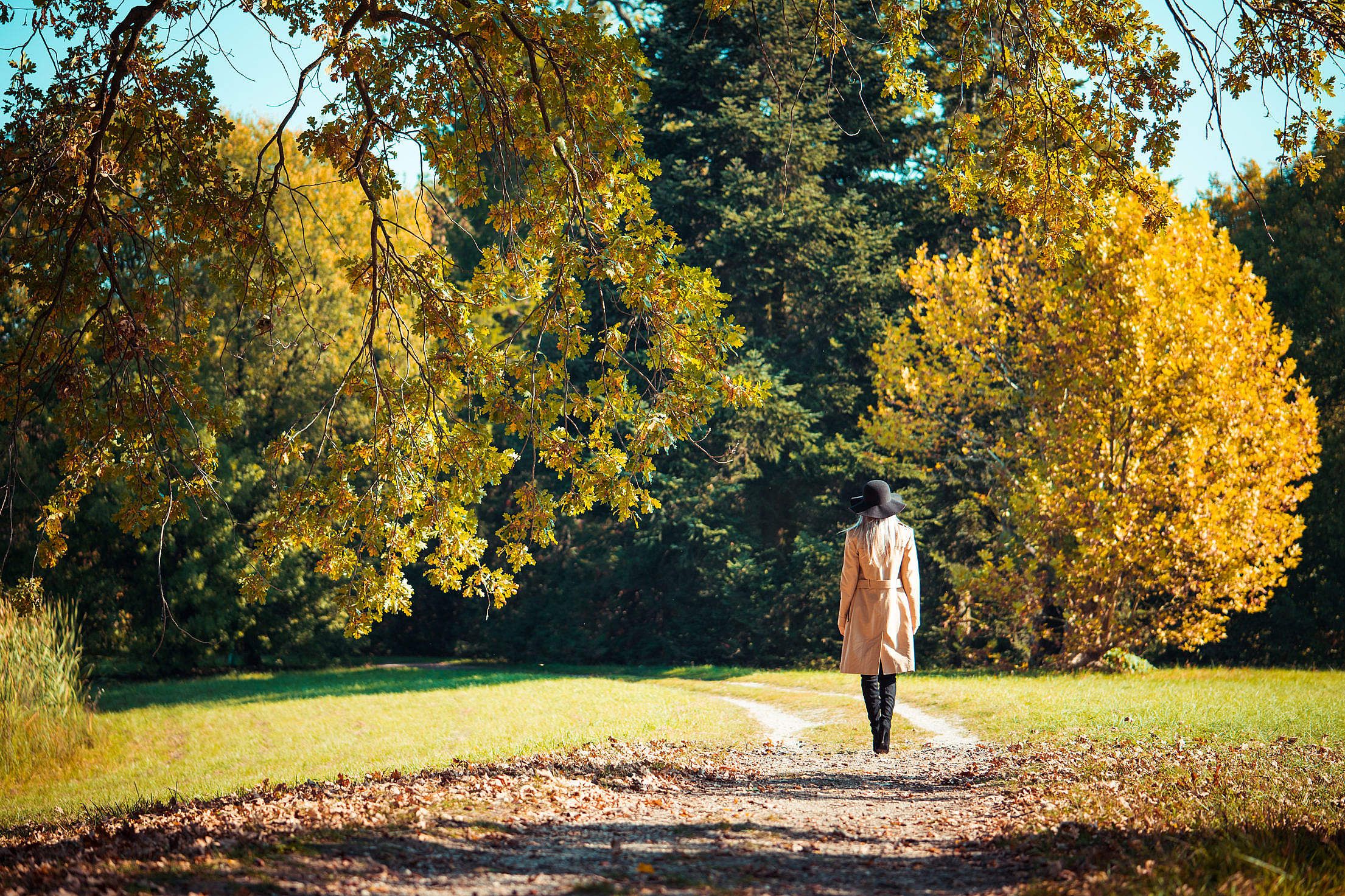 Woman Walking in a Park in Autumn Free