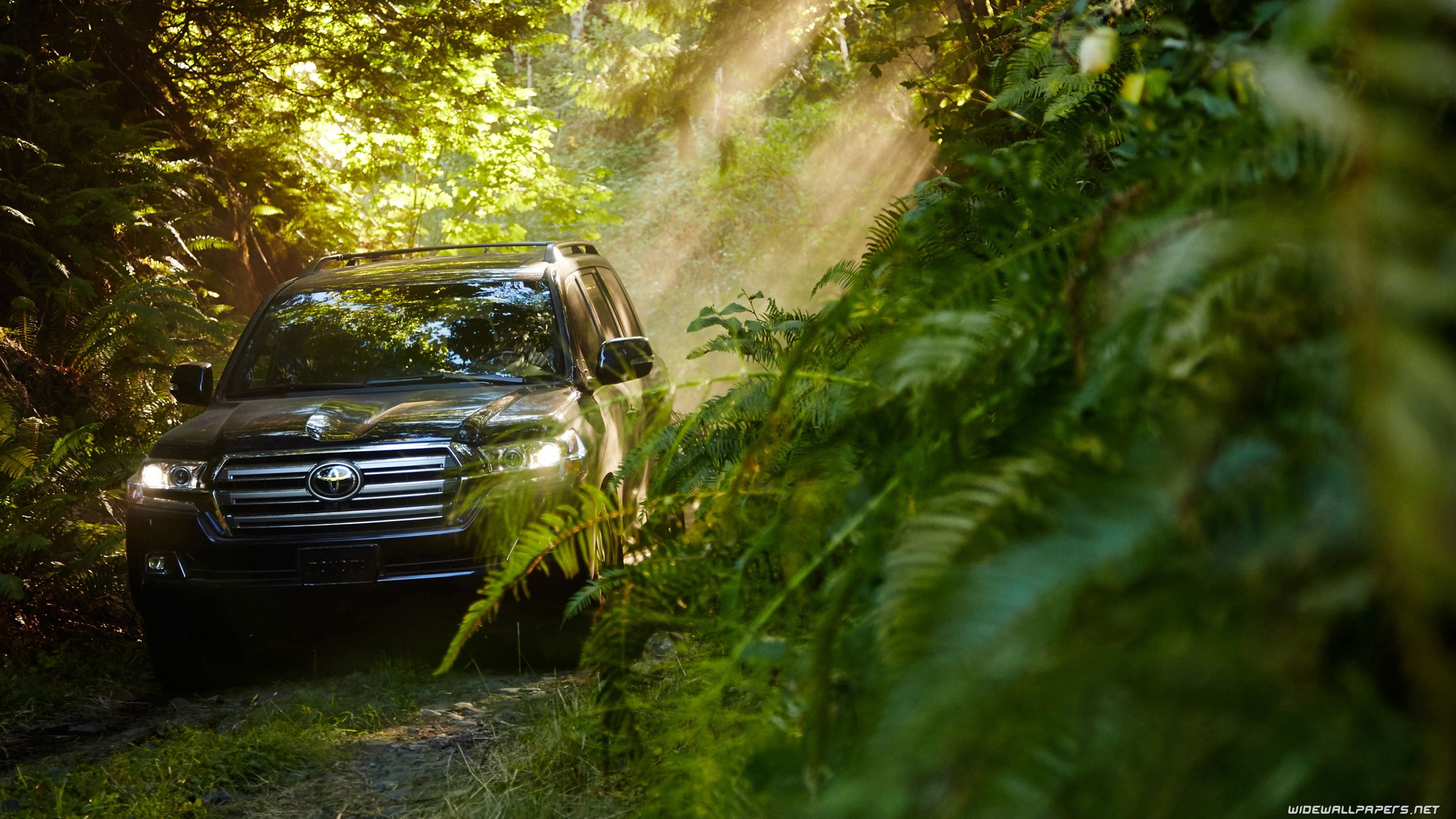 Toyota Land Cruiser cars desktop wallpaper 4K Ultra HD