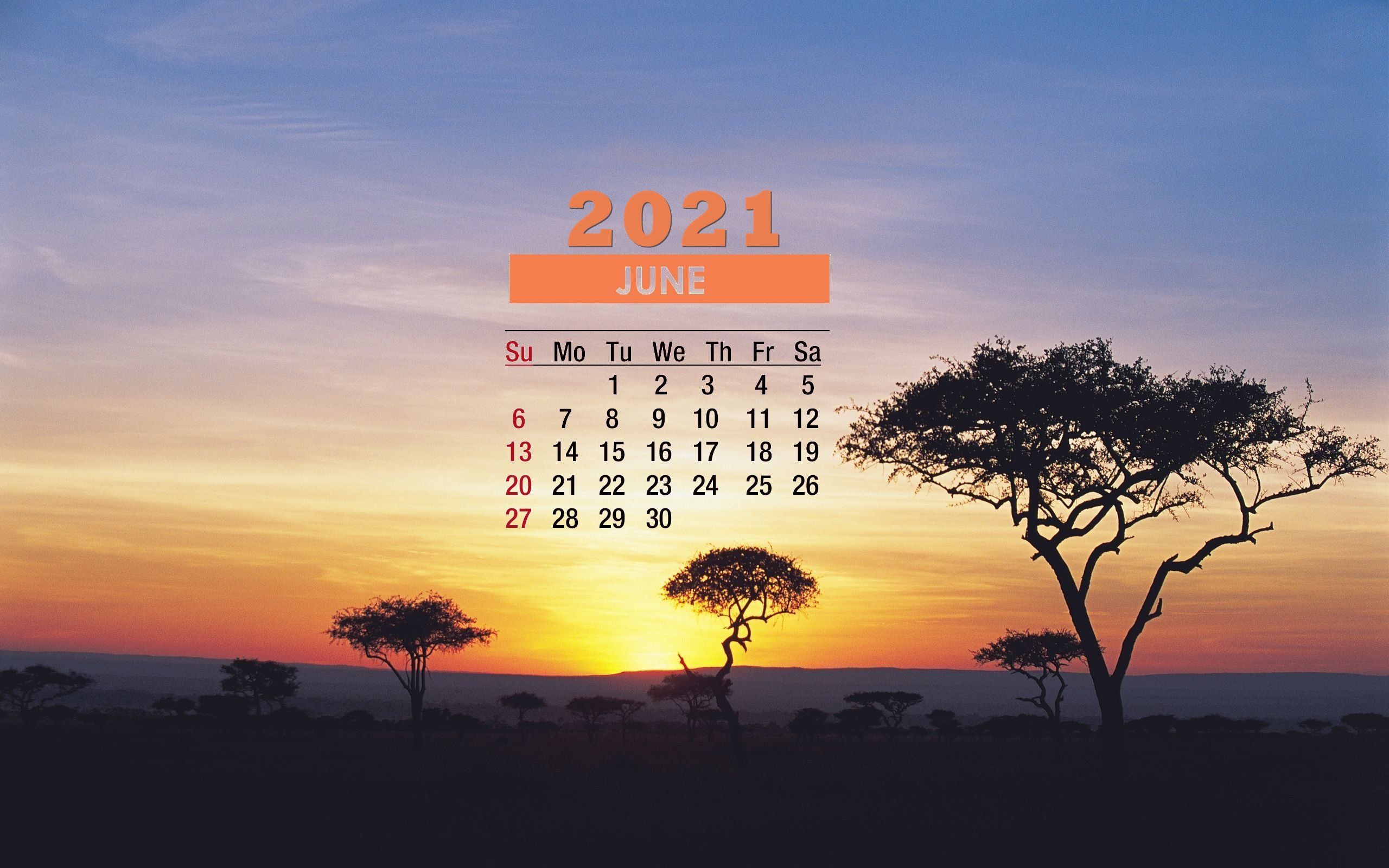 June 2021 Calendar Safari Wallpaper 72275