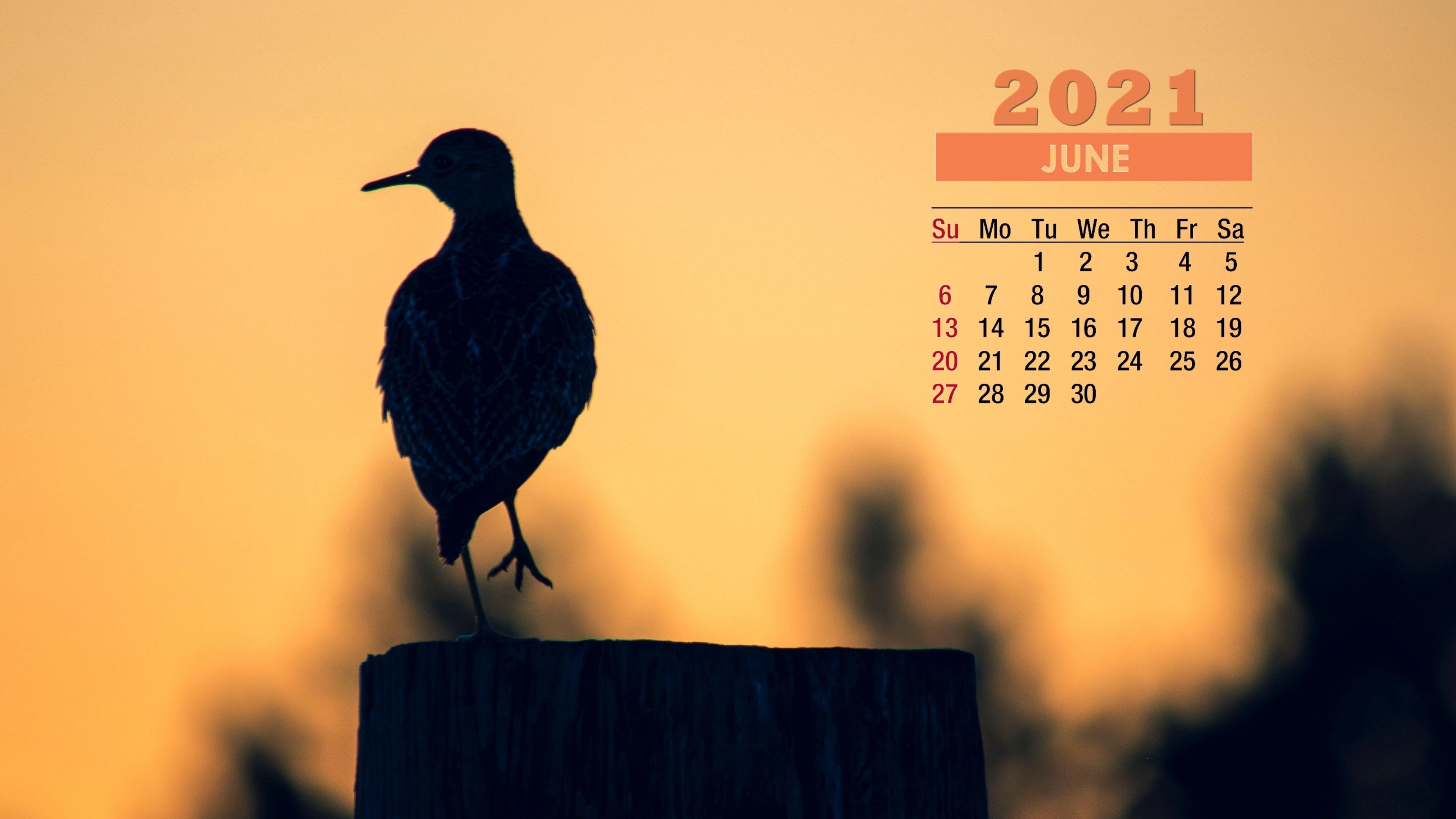 June 2021 Calendar Bird Wallpaper 72264
