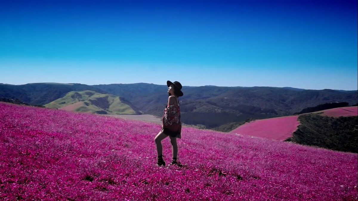 van aesthetic of starry night will remain as so beautiful and really showed individuality of mamamoo