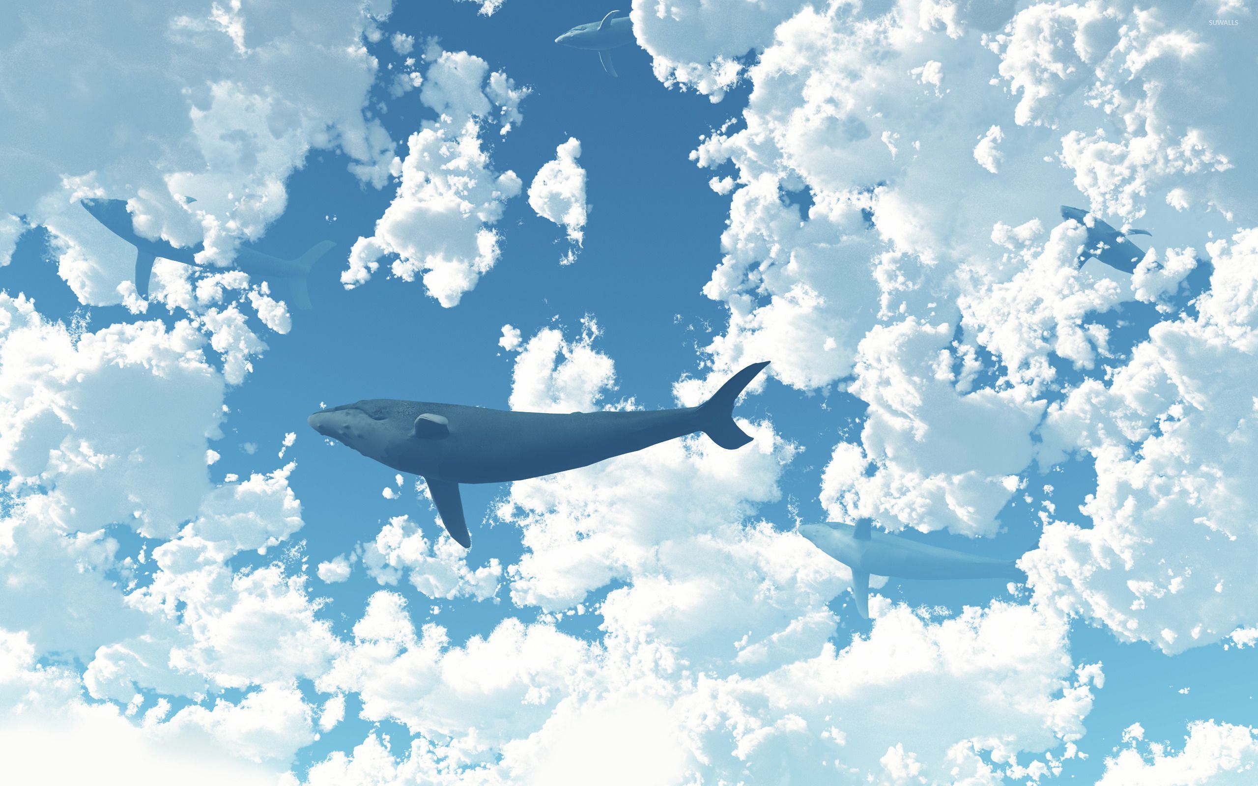 sky whale