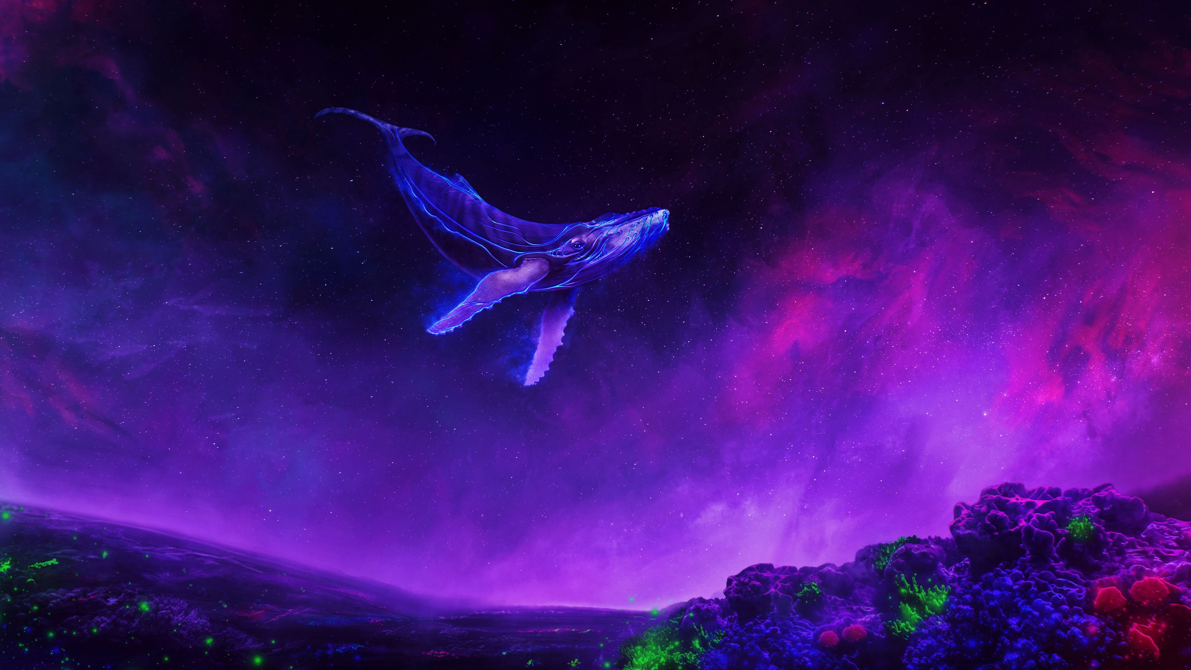 Purple, Sky, Whale, Animal, Smoke Wallpaper & Background Image