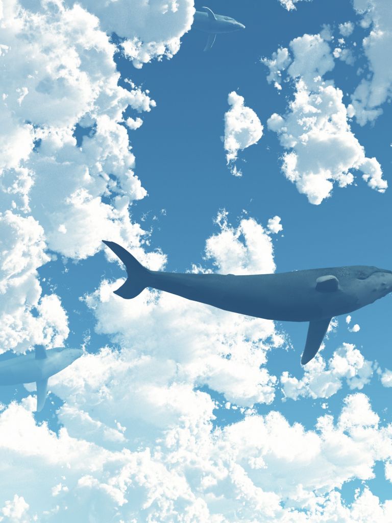 sky whale