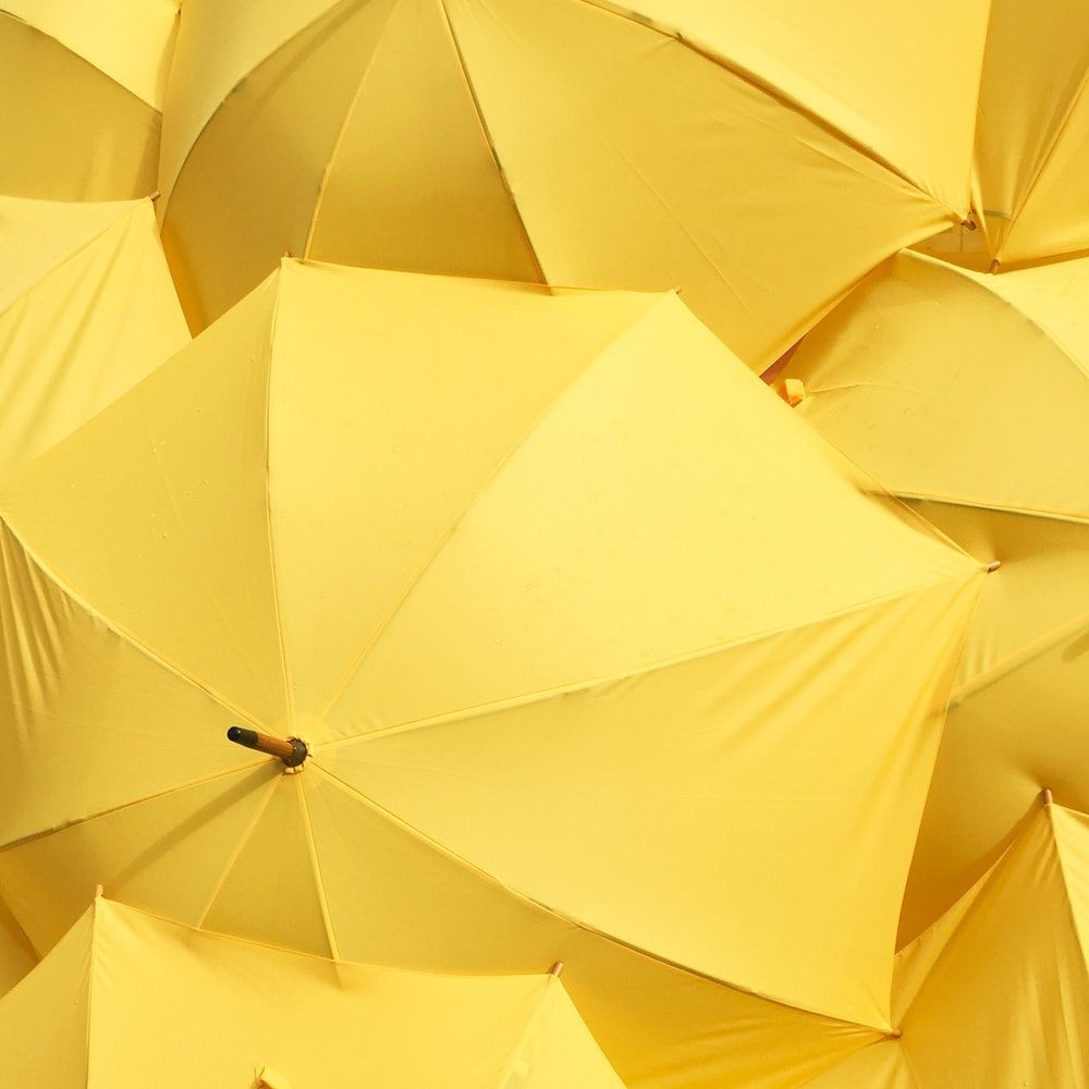 yellow umbrella photo