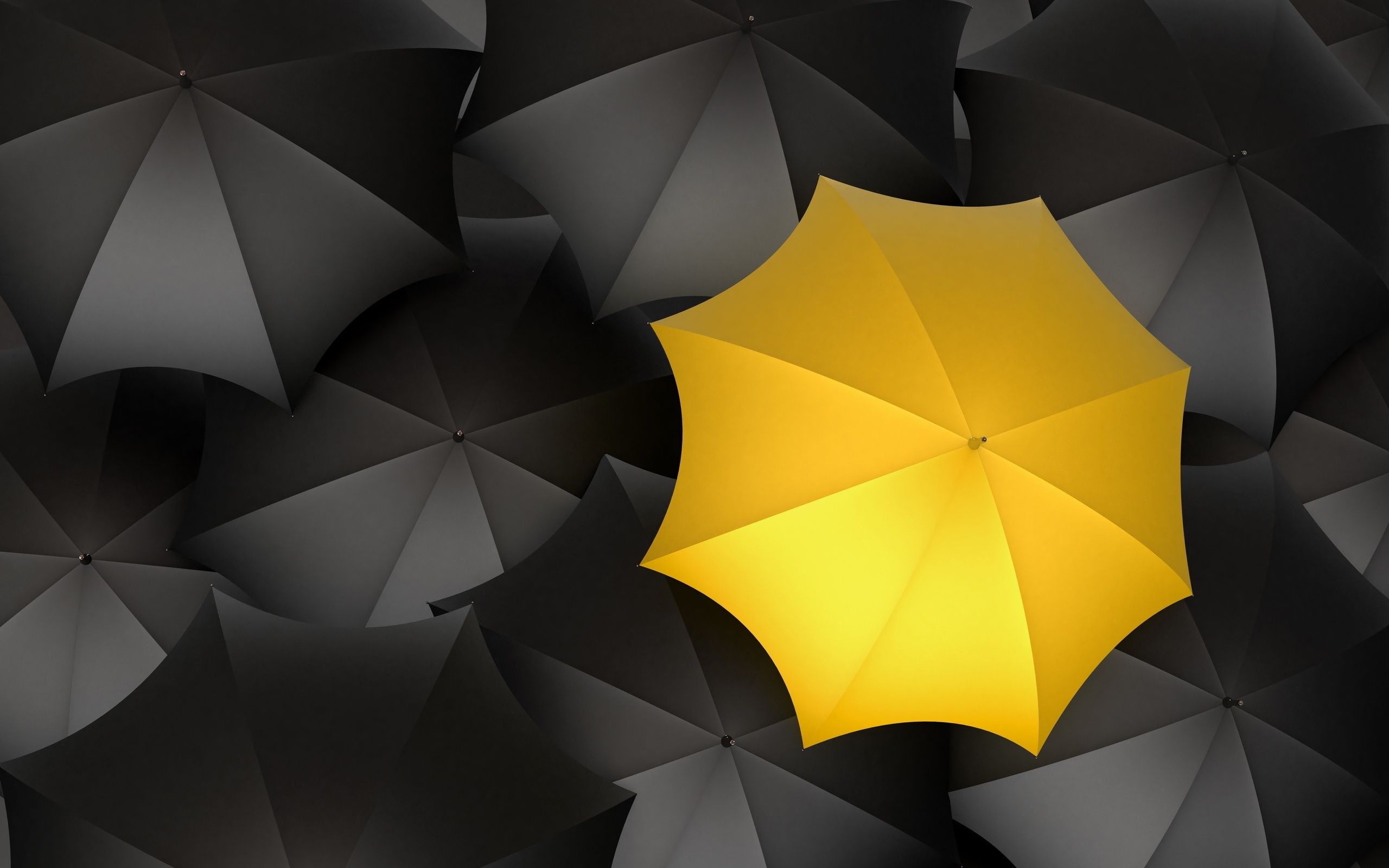 Skille seg ut. Yellow umbrella, Black wallpaper, Yellow wallpaper