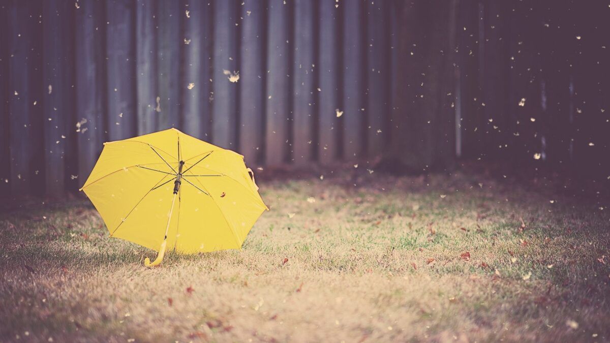 Amazing Yellow Umbrella Wallpaper Background Wallpaper Desktop Image Background Photo Download HD Free Samsung Mac 1920x1080. Full HD Wallpaper