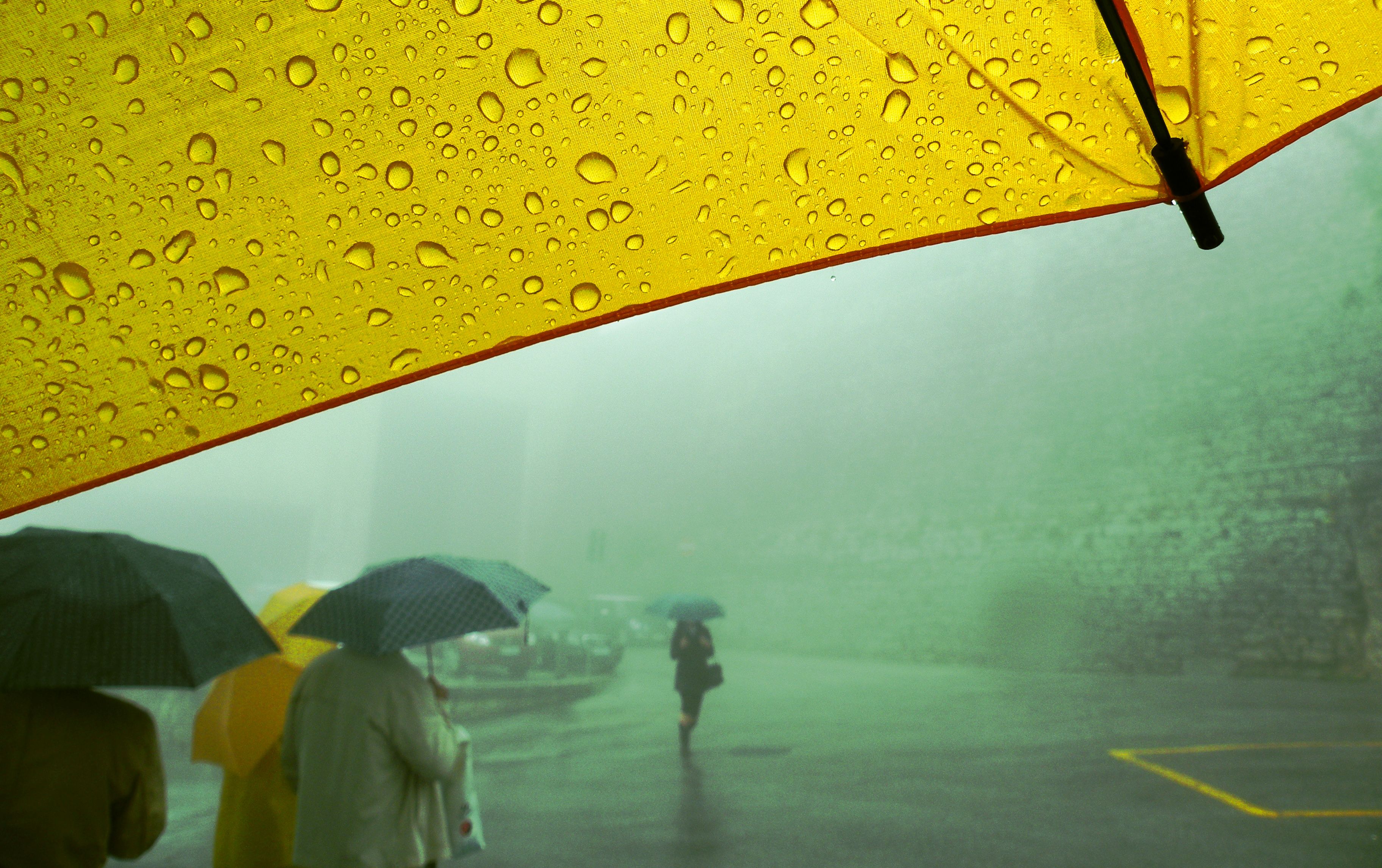 Wallpaper, people, yellow, fog, umbrella, drops, persone, giallo, nebbia, ombrello, hermanhesse, homersiliad, travelsofhomerodyssey 3648x2292