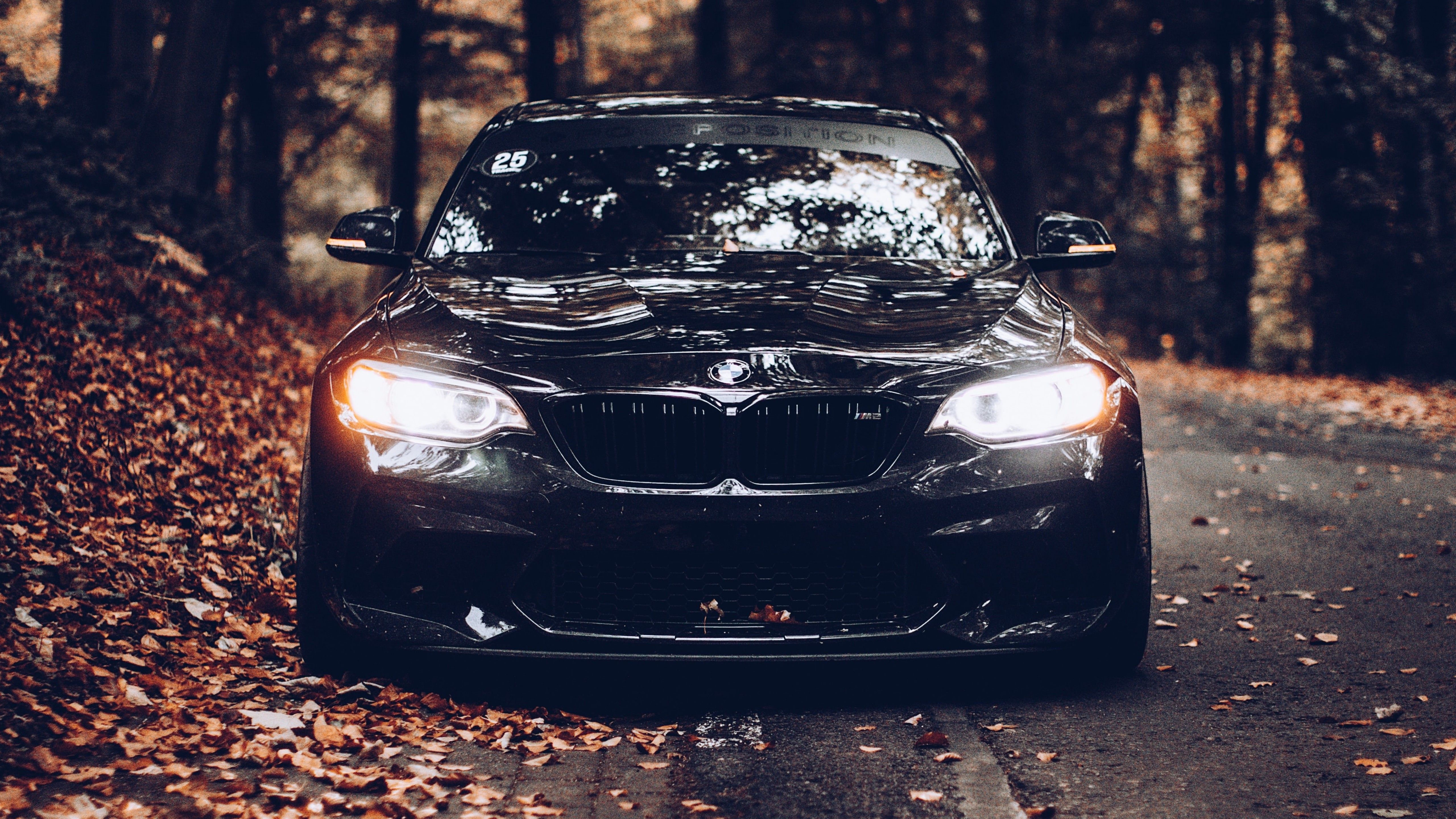 BMW 4K Wallpaper, Black cars, Cinematic, Autumn, Foliage, Road, Tarmac, Cars