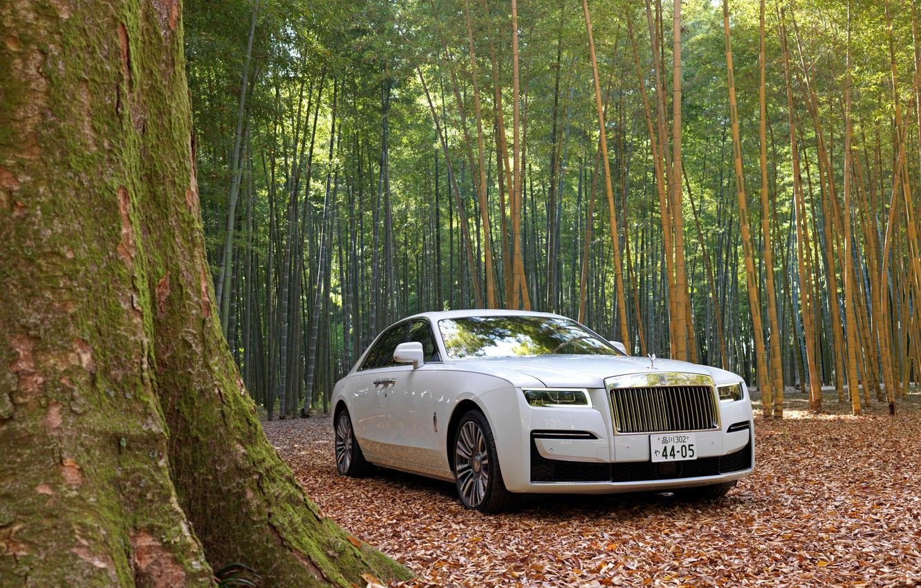 Wallpaper Forest, White, Nature, Rolls Royce, Rolls Royce Ghost Image For Desktop, Section другие марки
