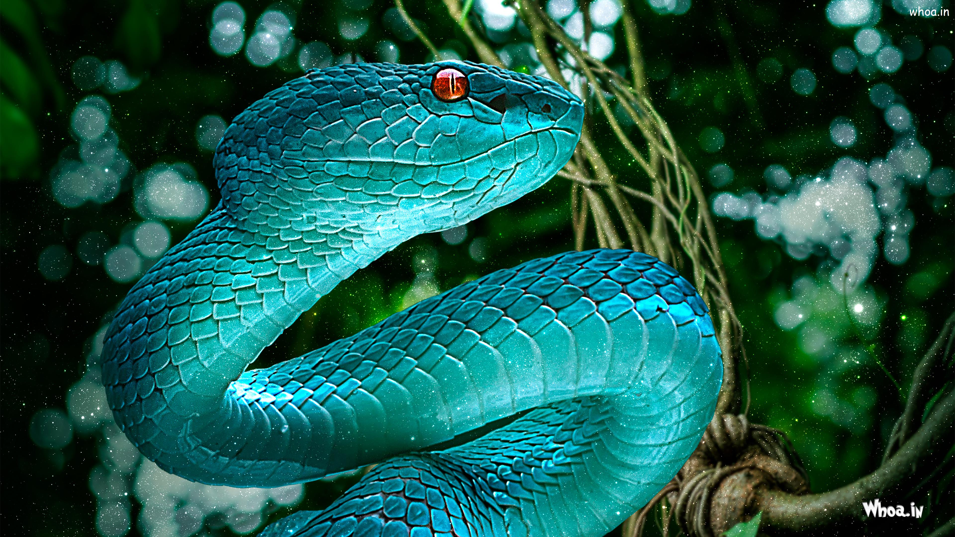 Blue Snake On Island HD 4K Photo Wallpaper For Desktop