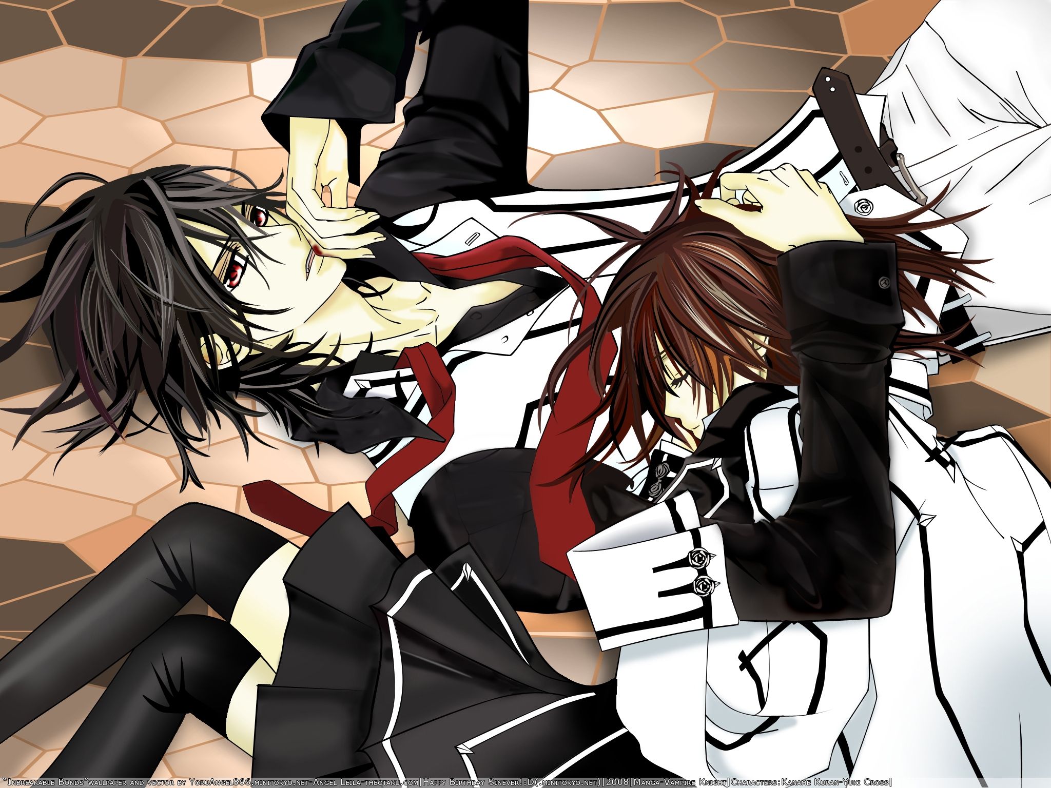 yaoi vampire knight anime boys two boys kuran kaname shounenai 2048x1536 wallpaper