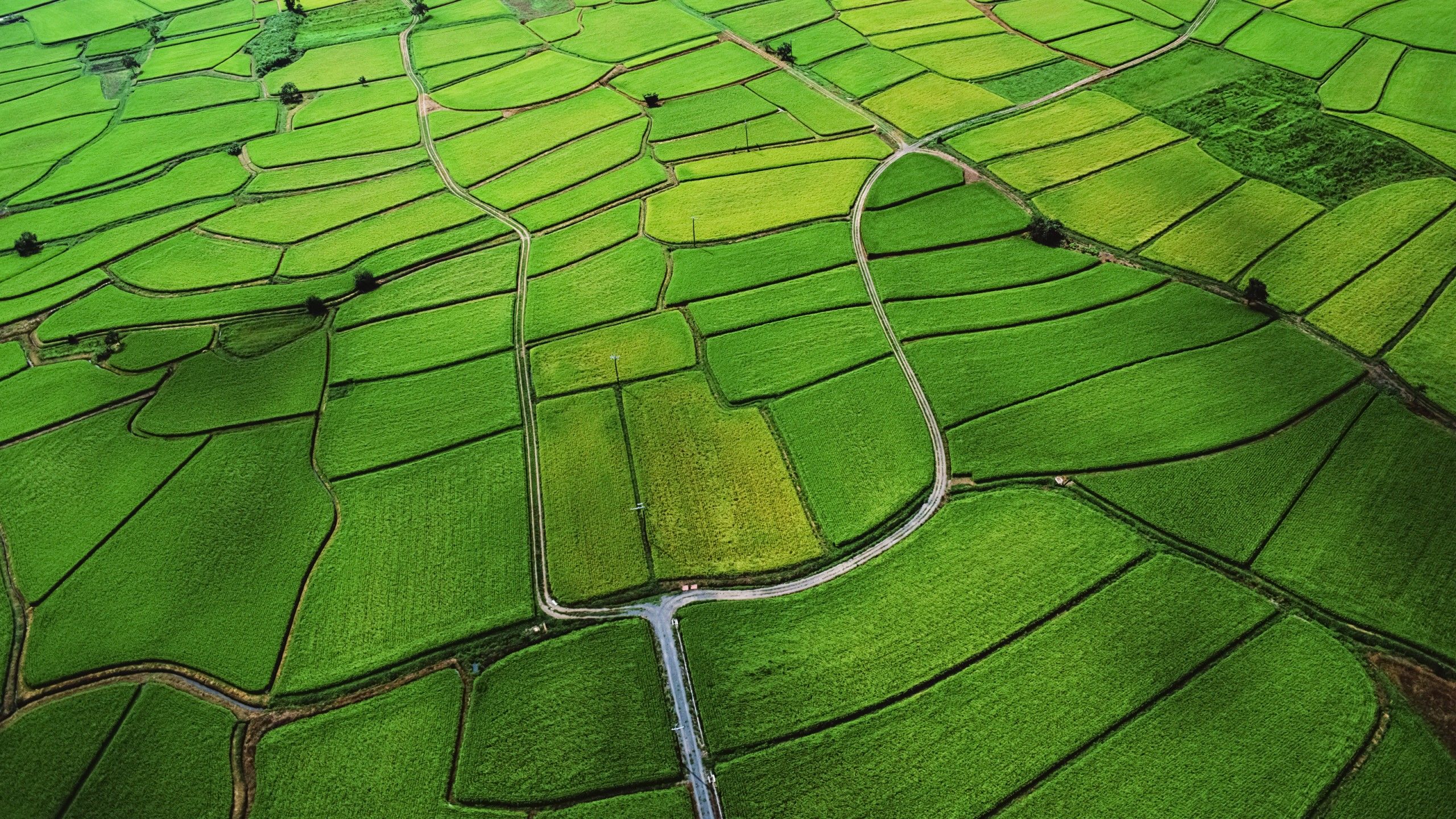 Agriculture 4K Wallpaper, Farm Land, Countryside, Aerial view, Green, Landscape, OS X Mountain Lion, Nature