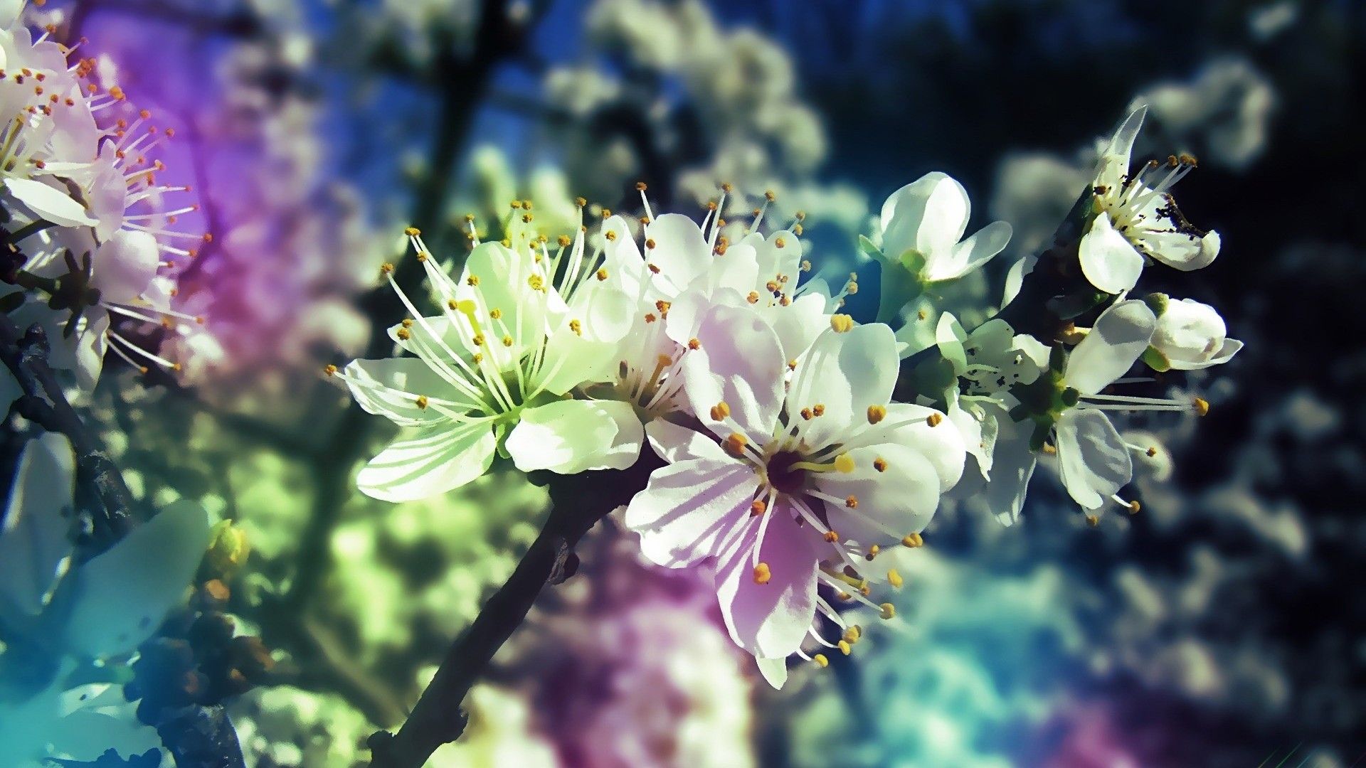 Spring Time Desktop Wallpapers - Wallpaper Cave