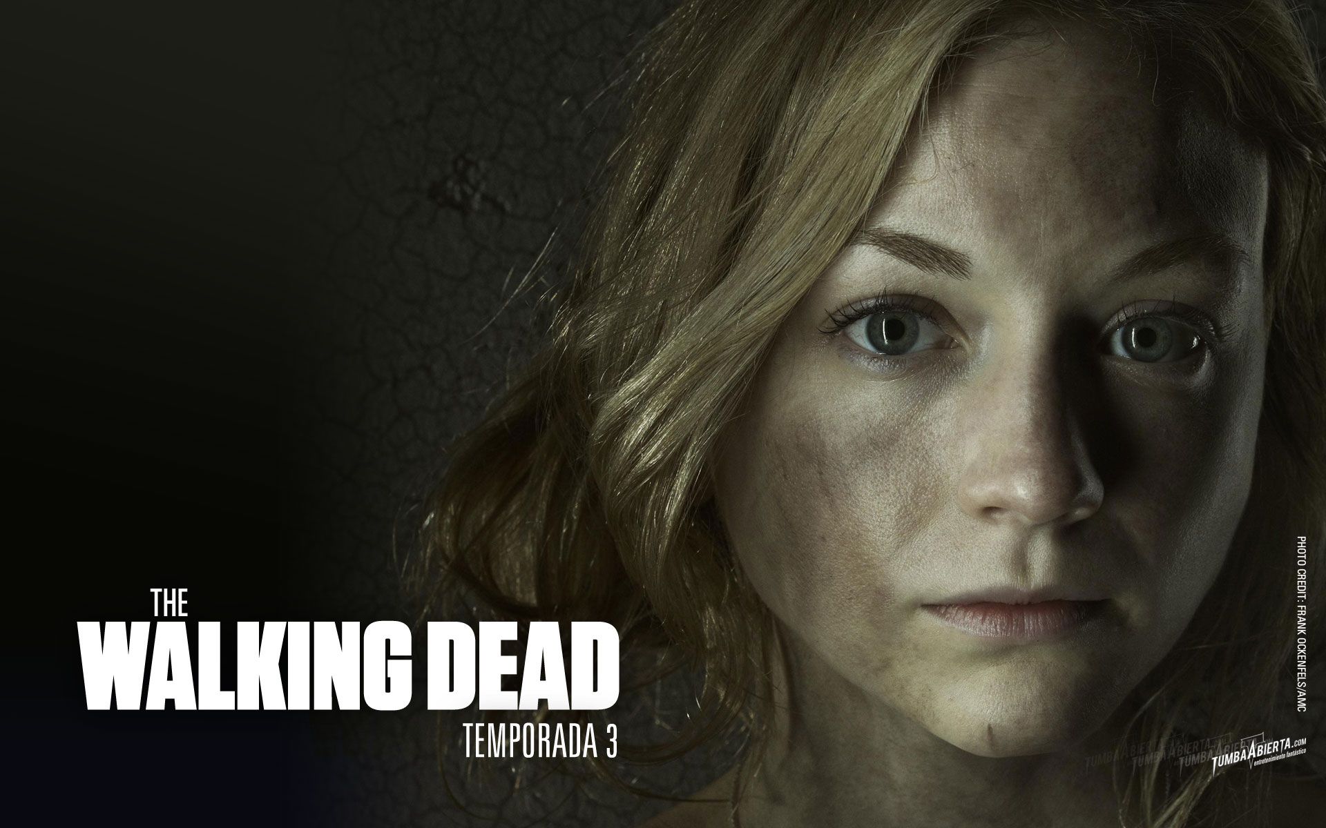 The Walking Dead Beth. The Walking Dead, Dead Picture, Walking Dead Picture