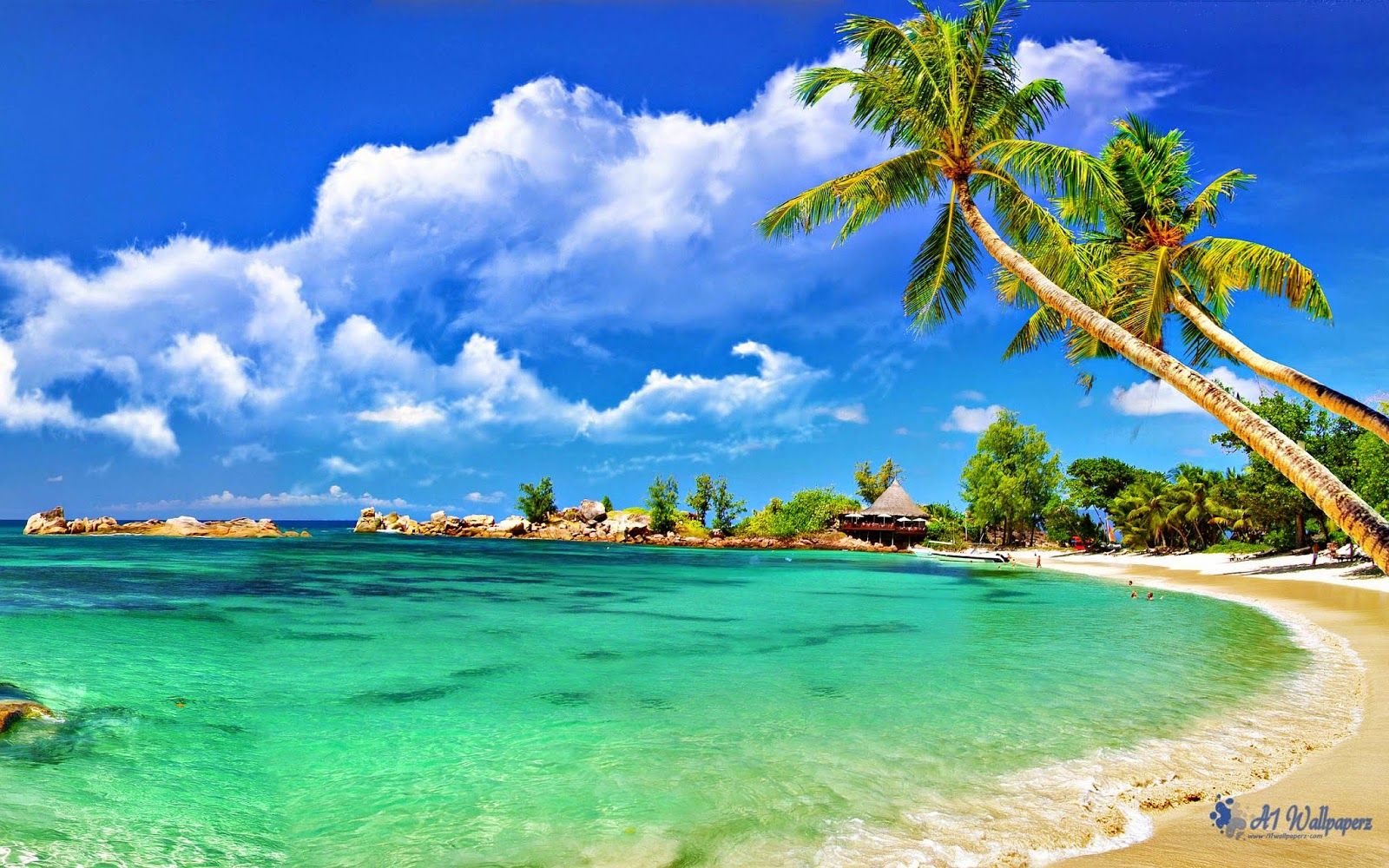 World Beautiful Beaches & Island HD Wallpaper, Image, Picture