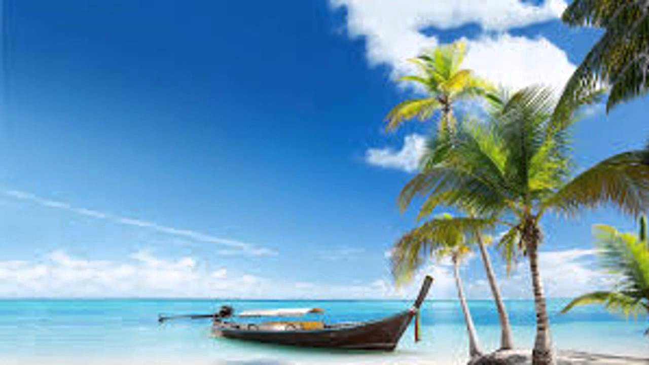 Aprenda a viver Osho