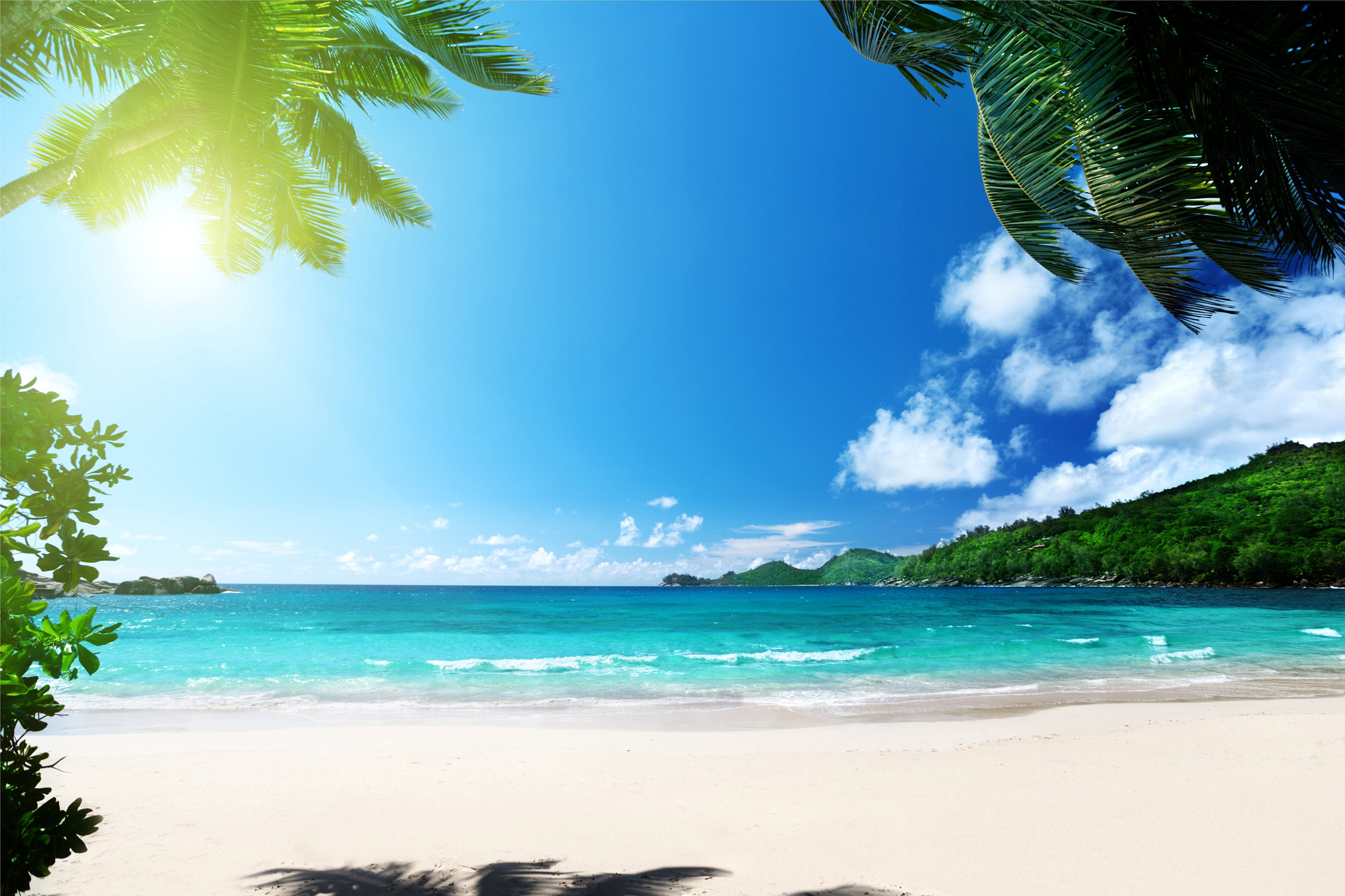 6480x4320 beach, ocean, palms, paradise, sea, summer, sunshine, tropical