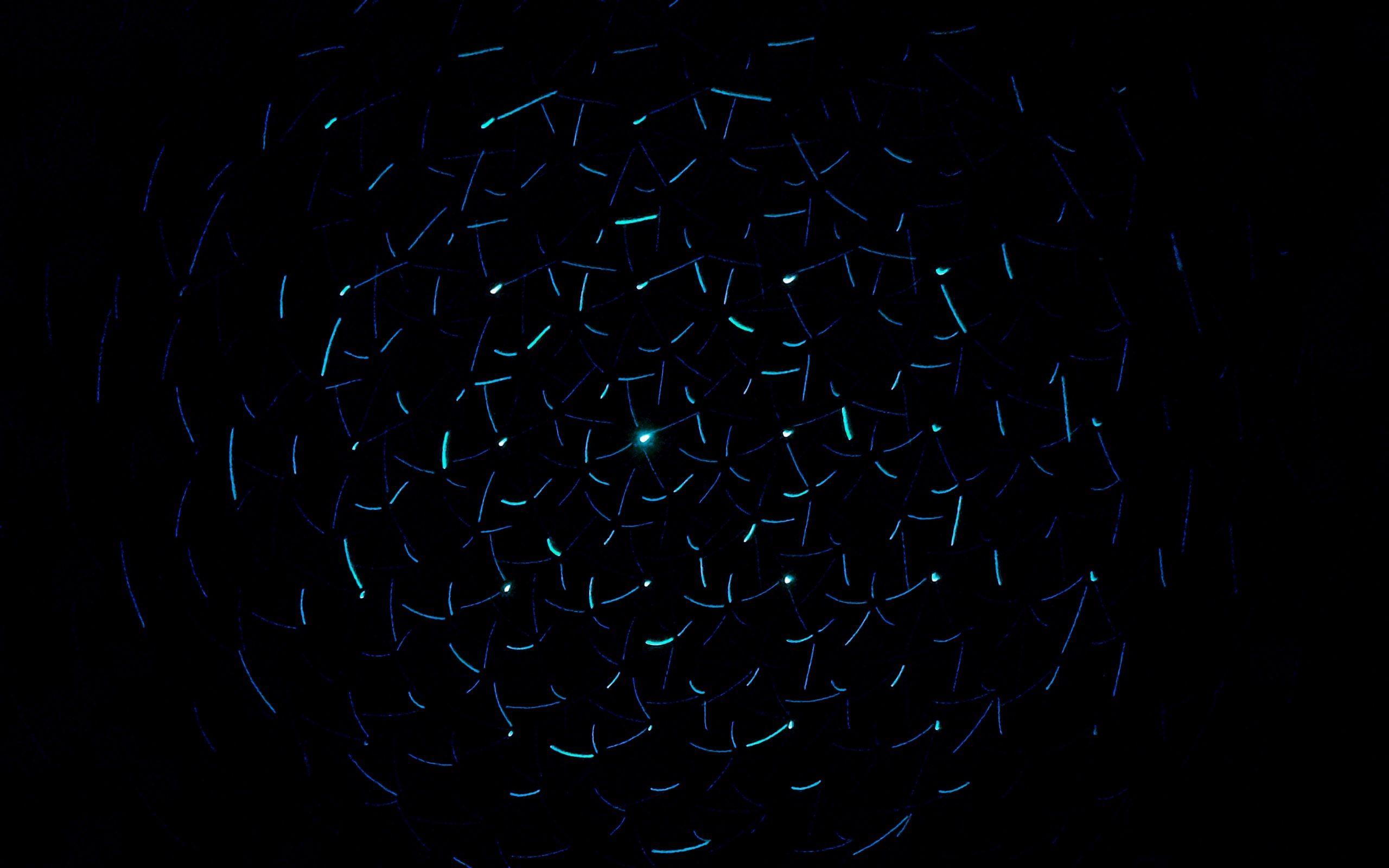 Wallpaper 4k light, neon, dark background, circles 4k dark background, Light, Neon