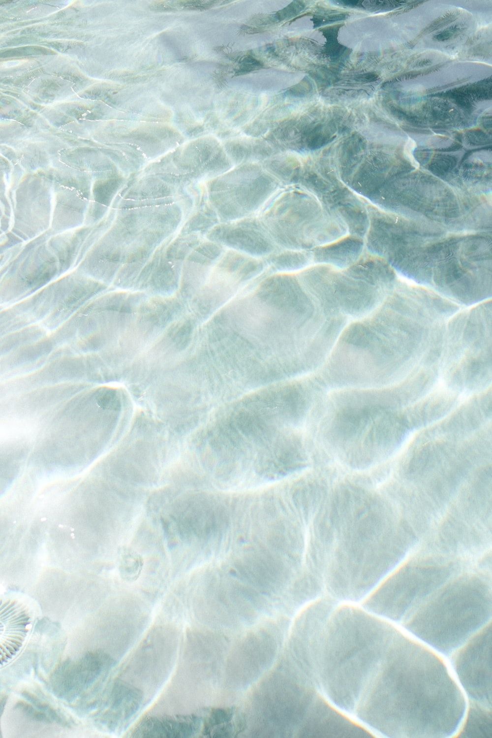 Ocean Texture Picture. Download Free Image