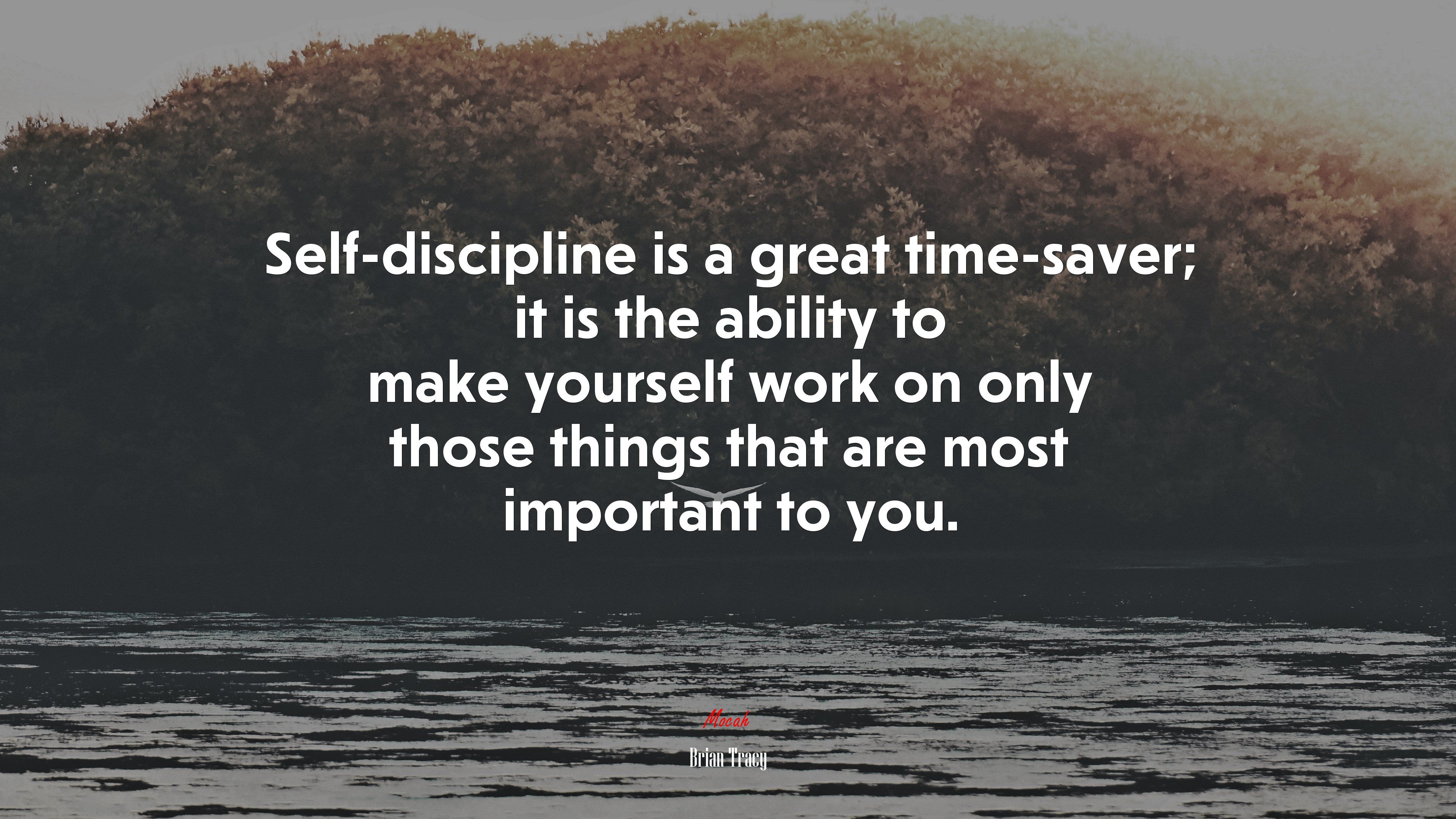 Persistence Is Self Discipline In Action. Brian Tracy Quote, 4k Wallpaper. Mocah HD Wallpaper