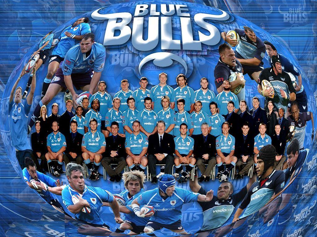 blue bulls background