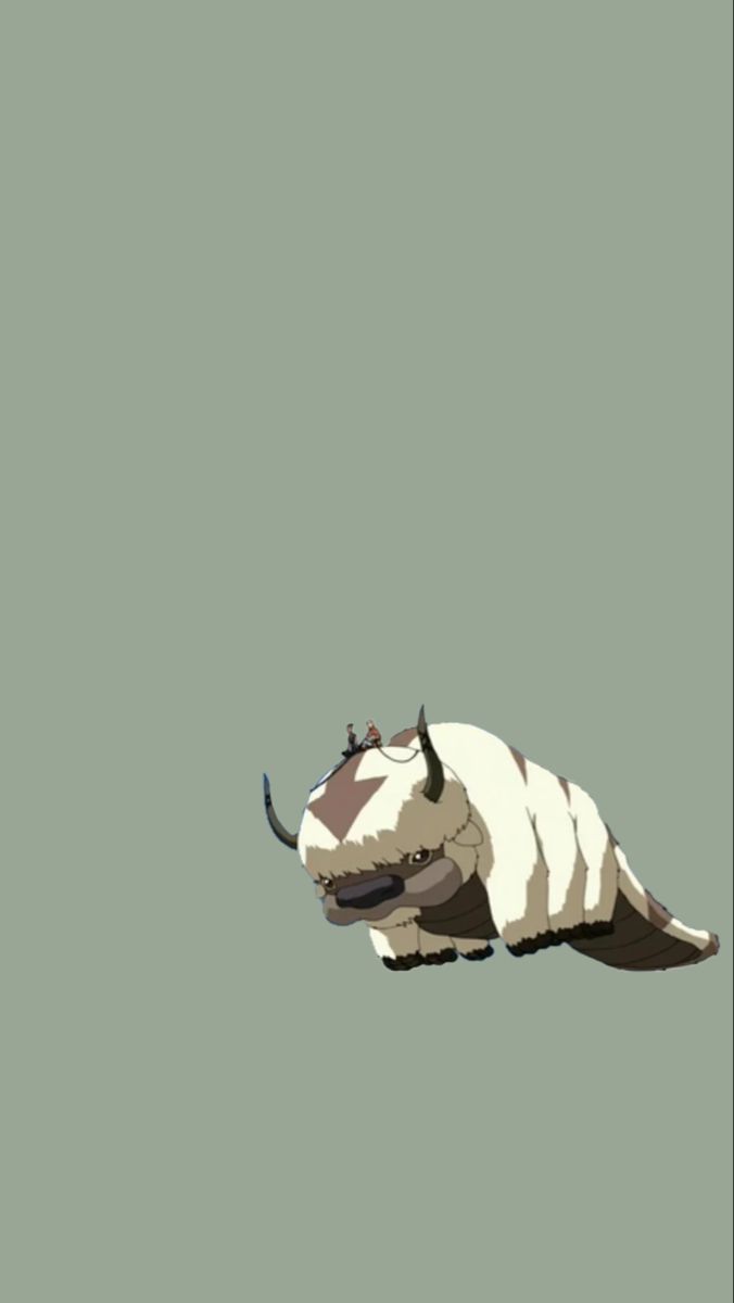 appa avatar aesthetic iphone wallpaper