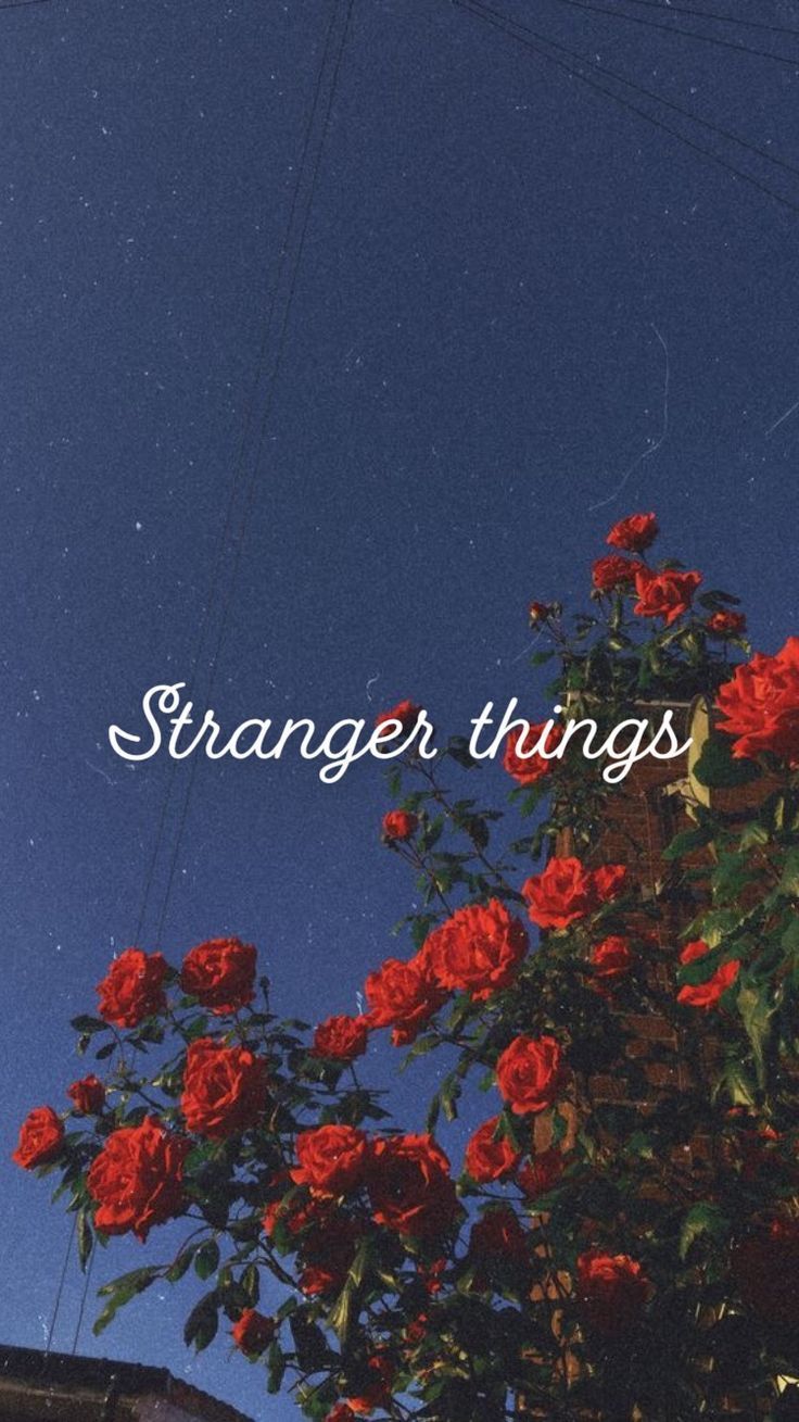 Stranger things wallpapere Ideas. Wallpaper quotes, Phone wallpaper, Flower quotes