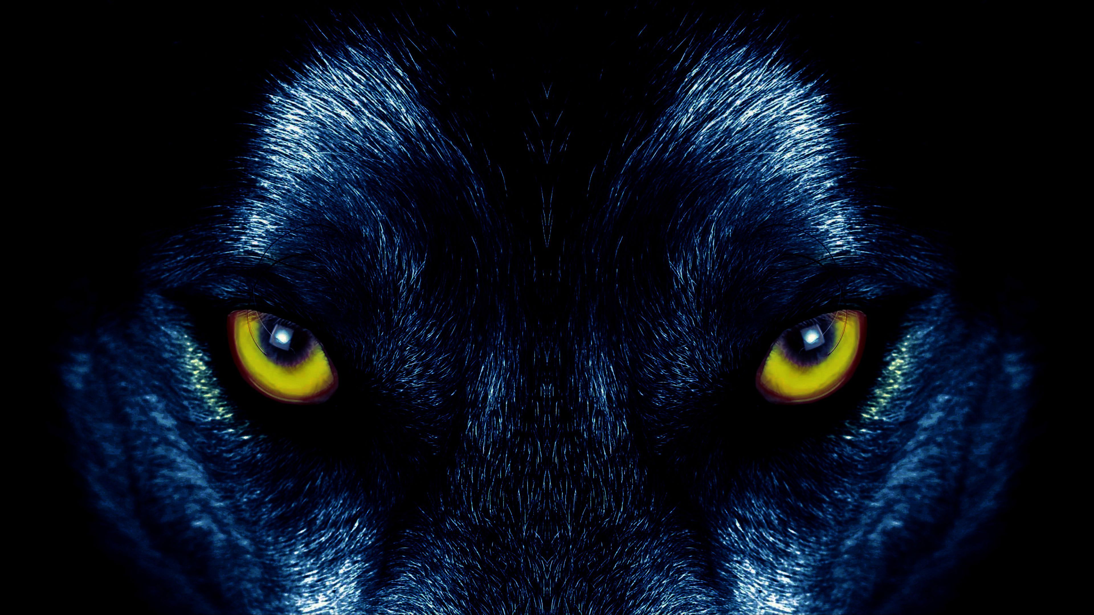 Download wallpaper 3840x2160 wolf, eyes, predator, sight 4k uhd 16:9 HD background