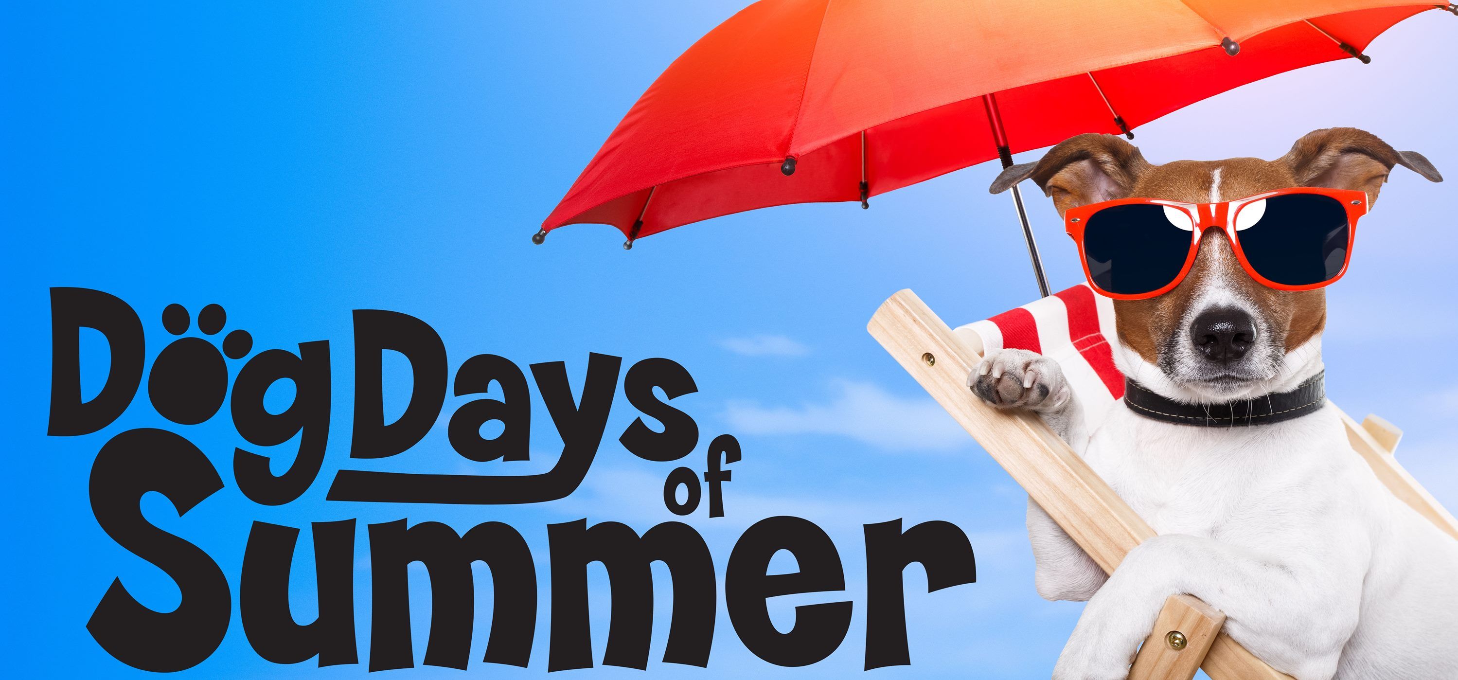 Dog Days of Summer Wallpaper. Summer Wallpaper, Cute Summer Wallpaper and Summer iPhone Wallpaper