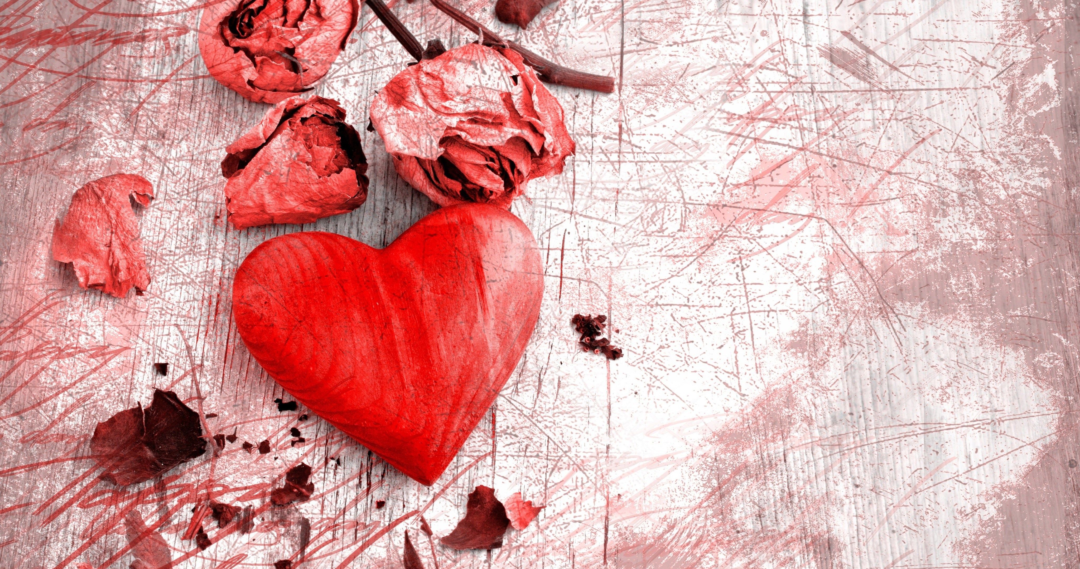 rose petals 4k ultra HD wallpaper High quality walls