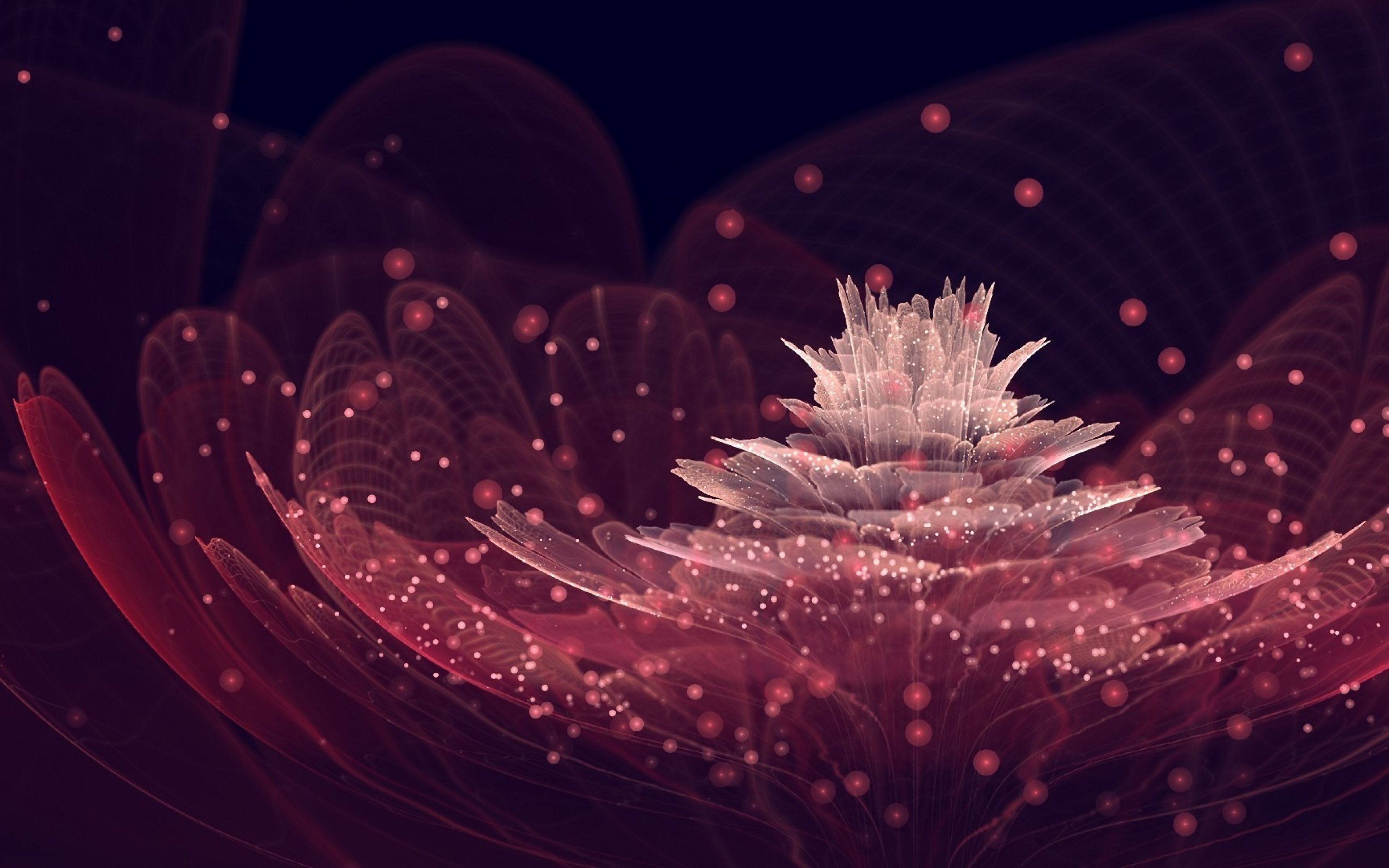 Petals 4k Wallpapers - Wallpaper Cave