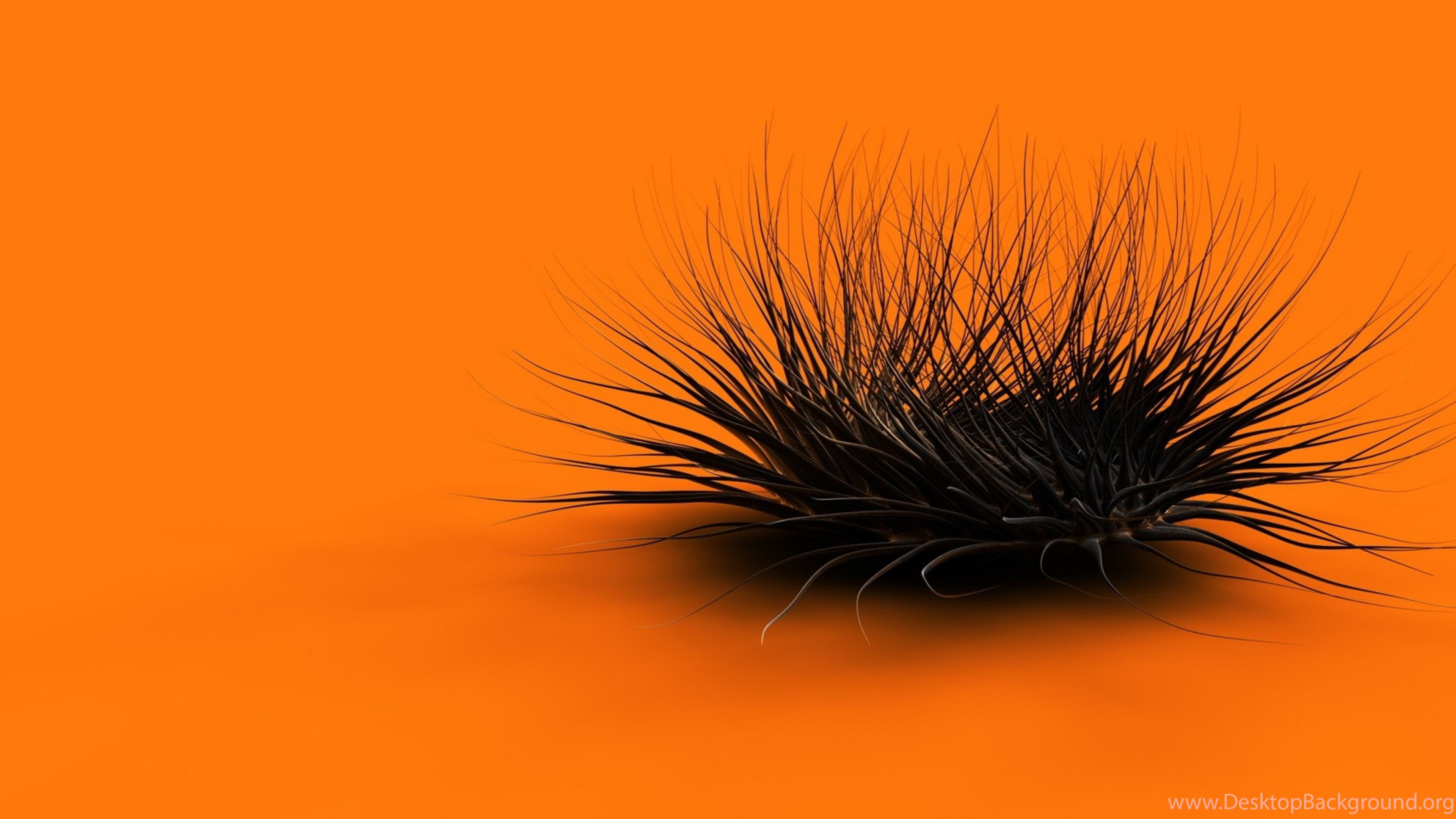 Download Wallpaper 3840x2160 Orange, Black, Feathers, Form 4K. Desktop Background