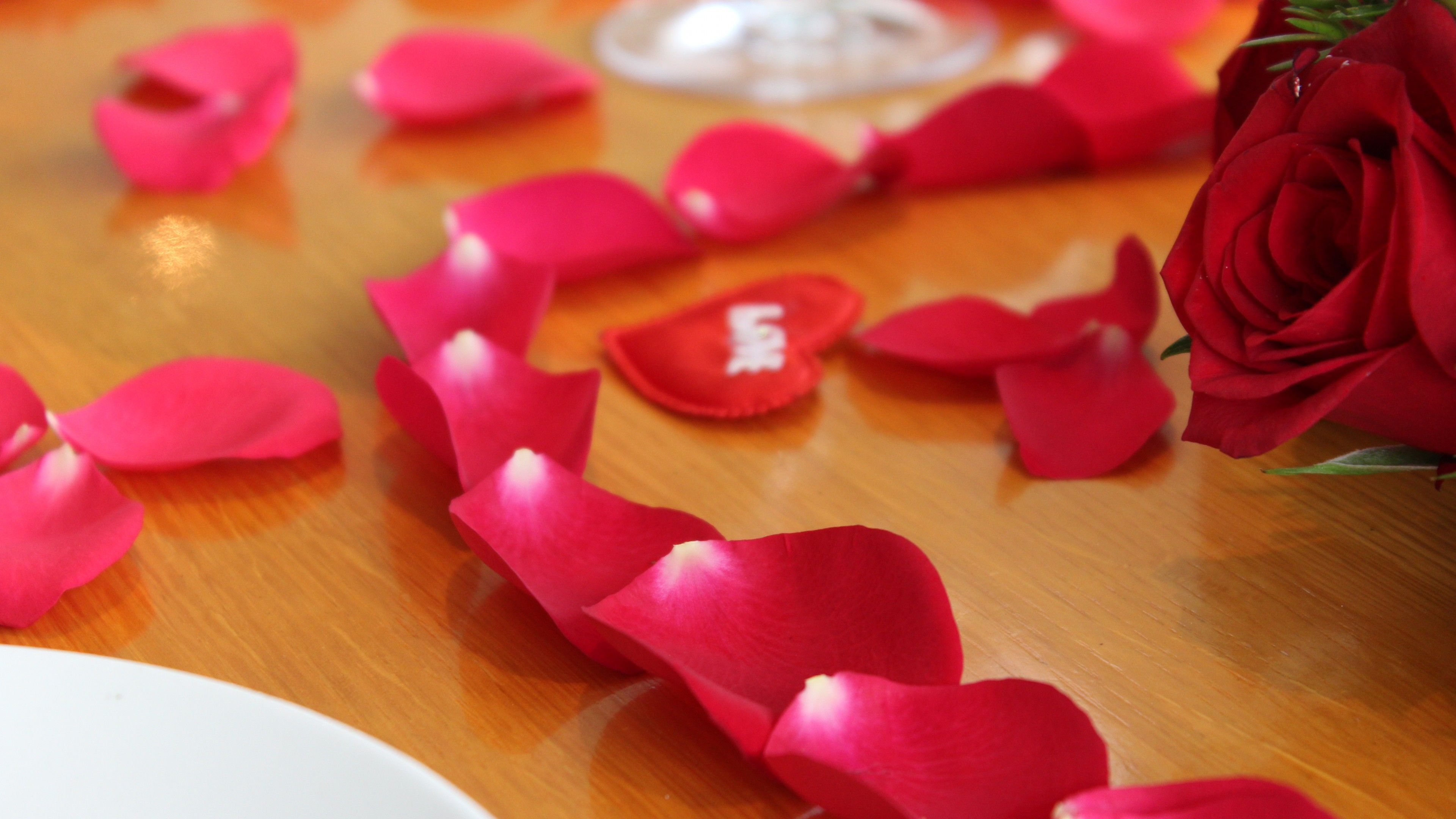 Rose Petals Wallpaper for Desktop and Mobiles 4K Ultra HD