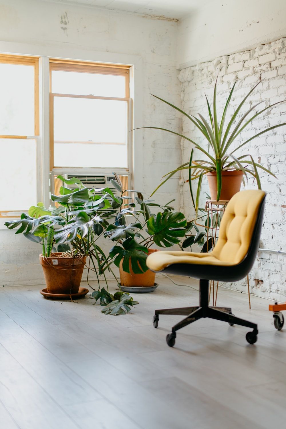 Office Chair Picture. Download Free Image