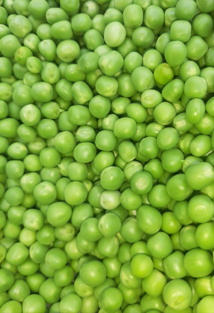 Many peas 1080x1920 iPhone 8766S Plus wallpaper background picture  image