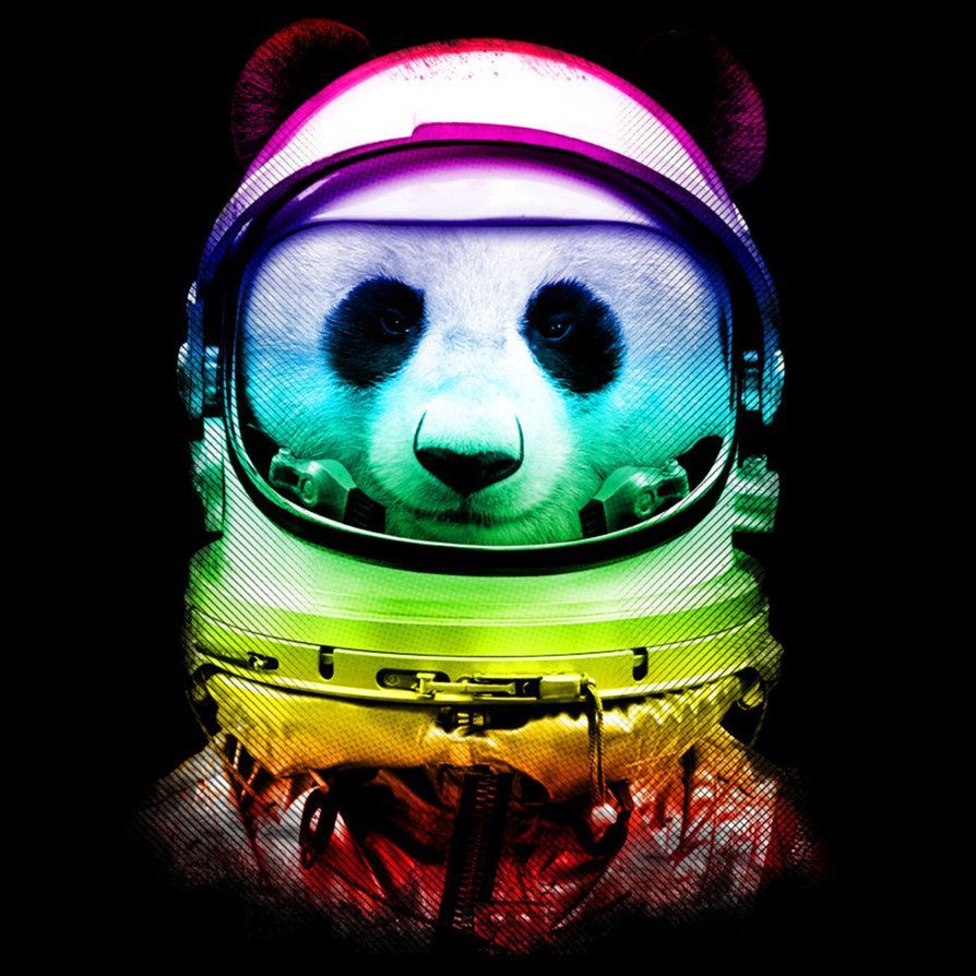 Cool Panda Wallpaper Free Cool Panda Background