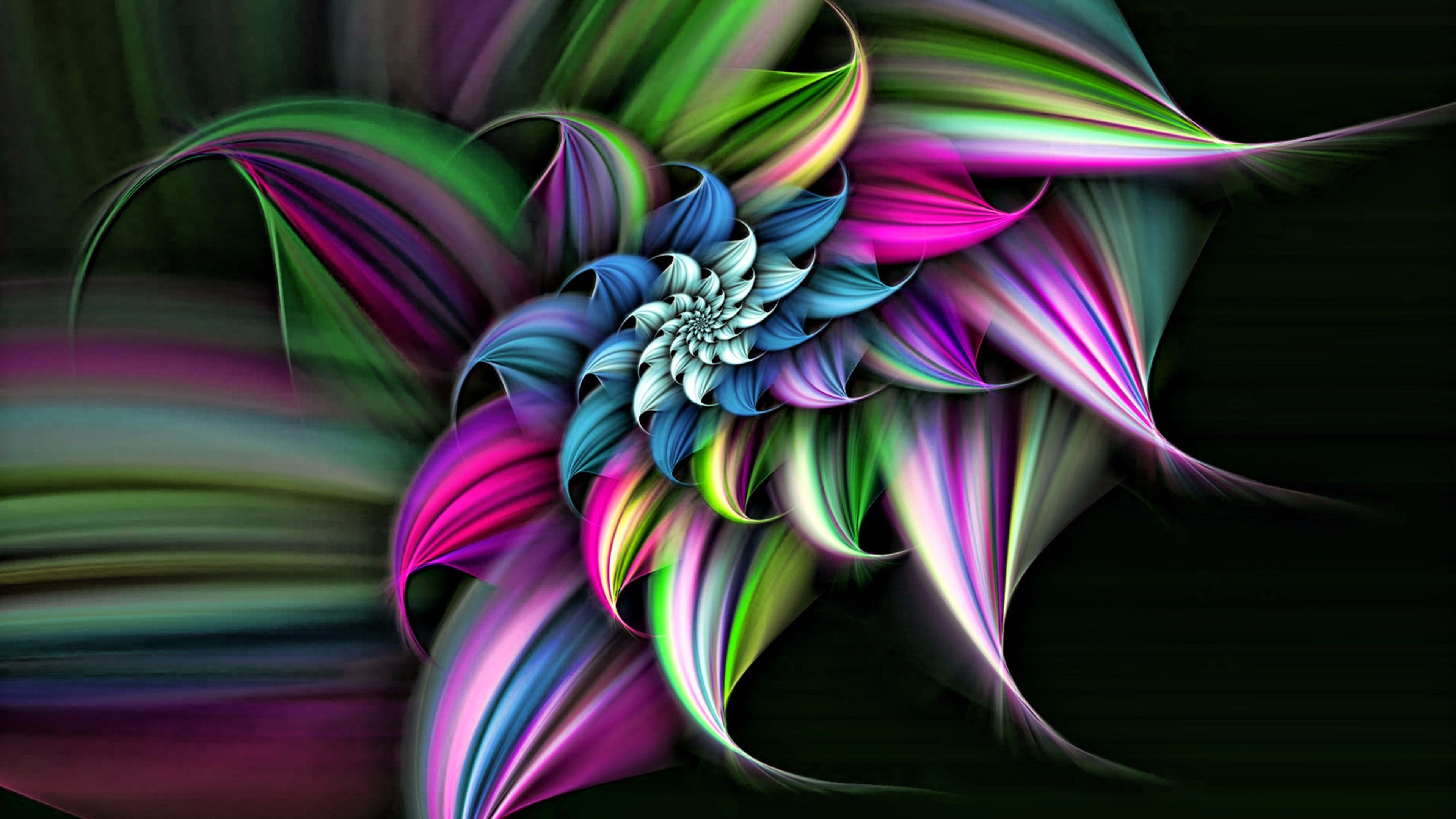 of Flower 4K wallpaper for your desktop or mobile screen