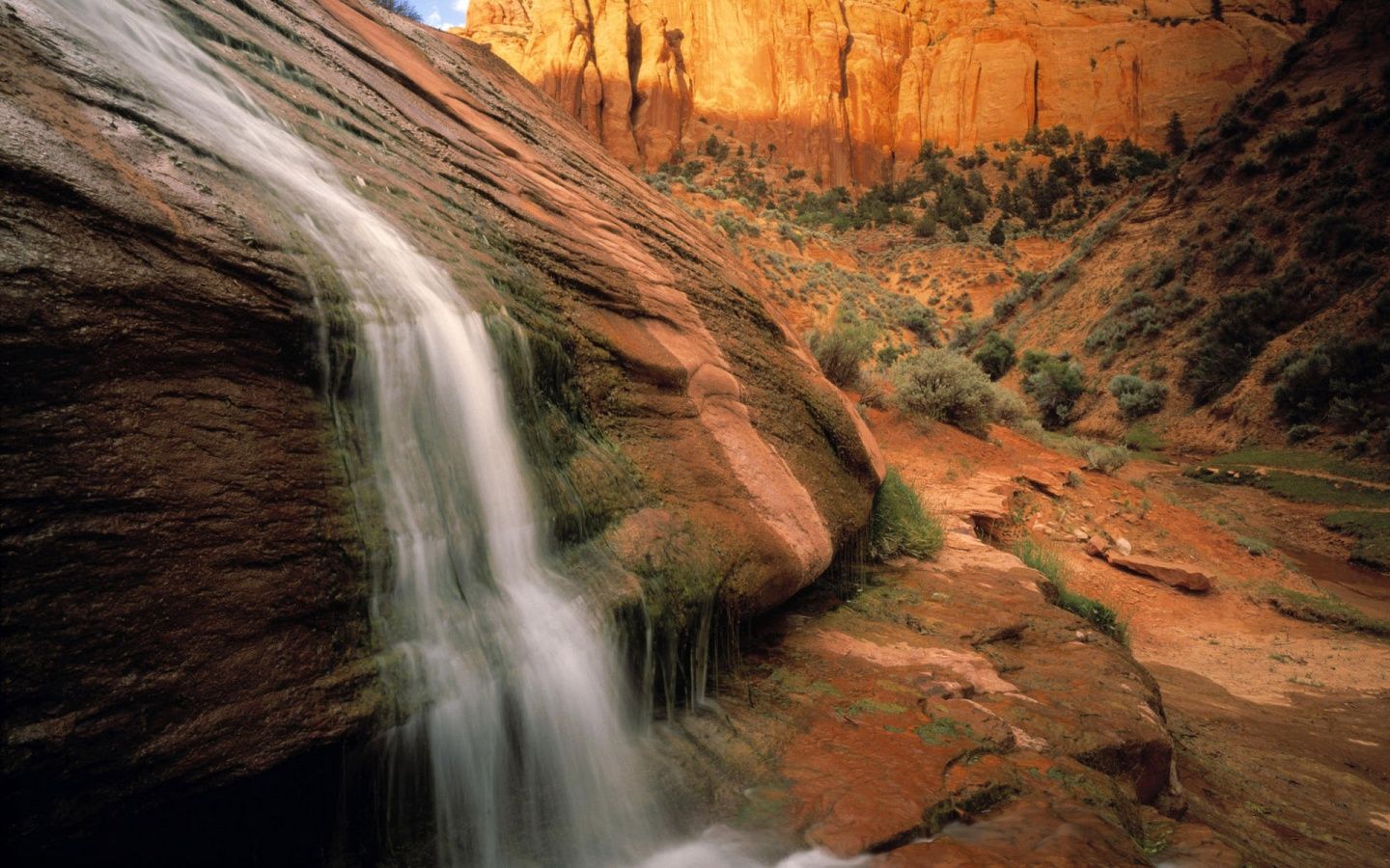 Arizona Desert Waterfall Windows 8 Wallpaper wallpaper x