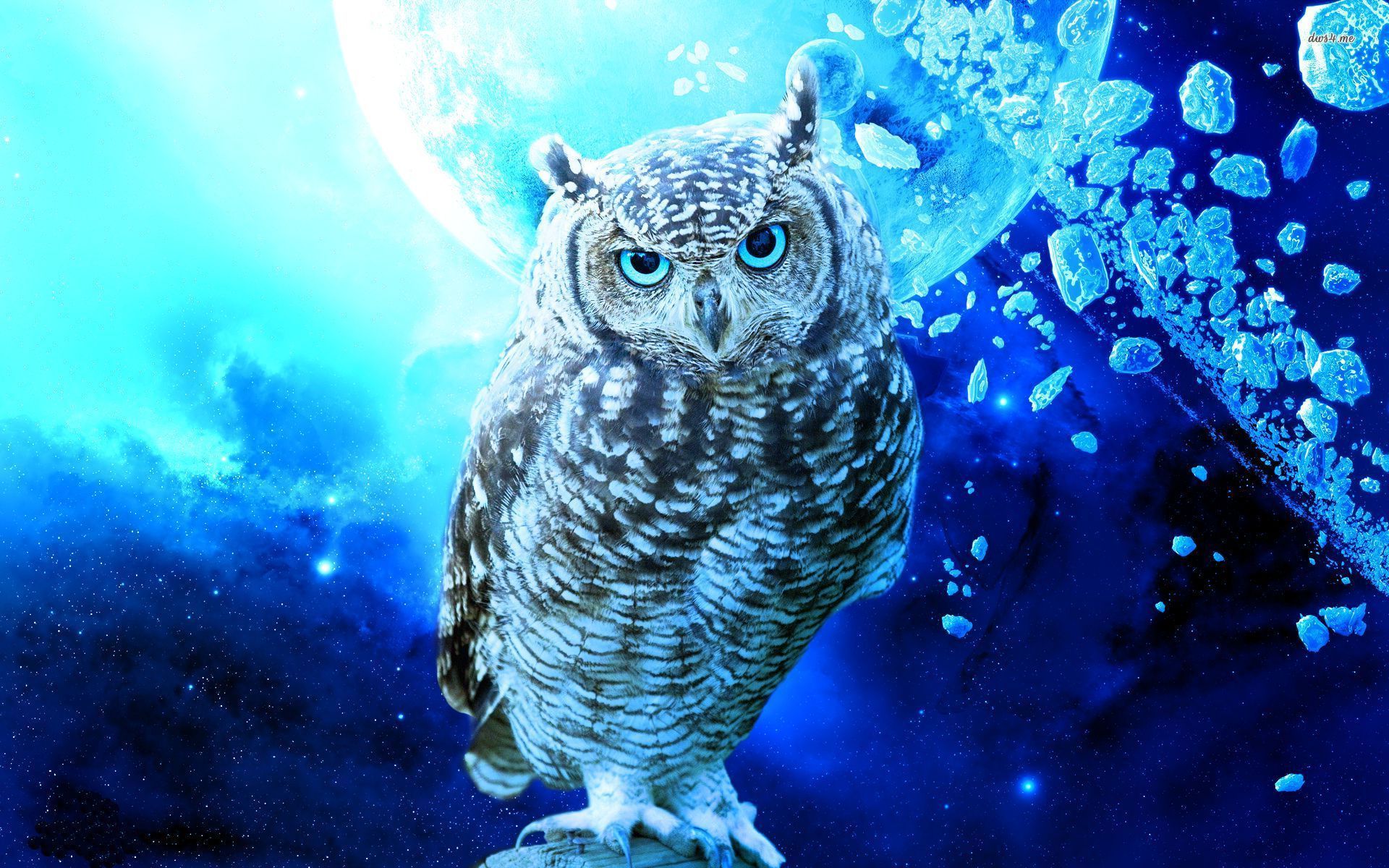 Owl Art Background Wallpaper 21119
