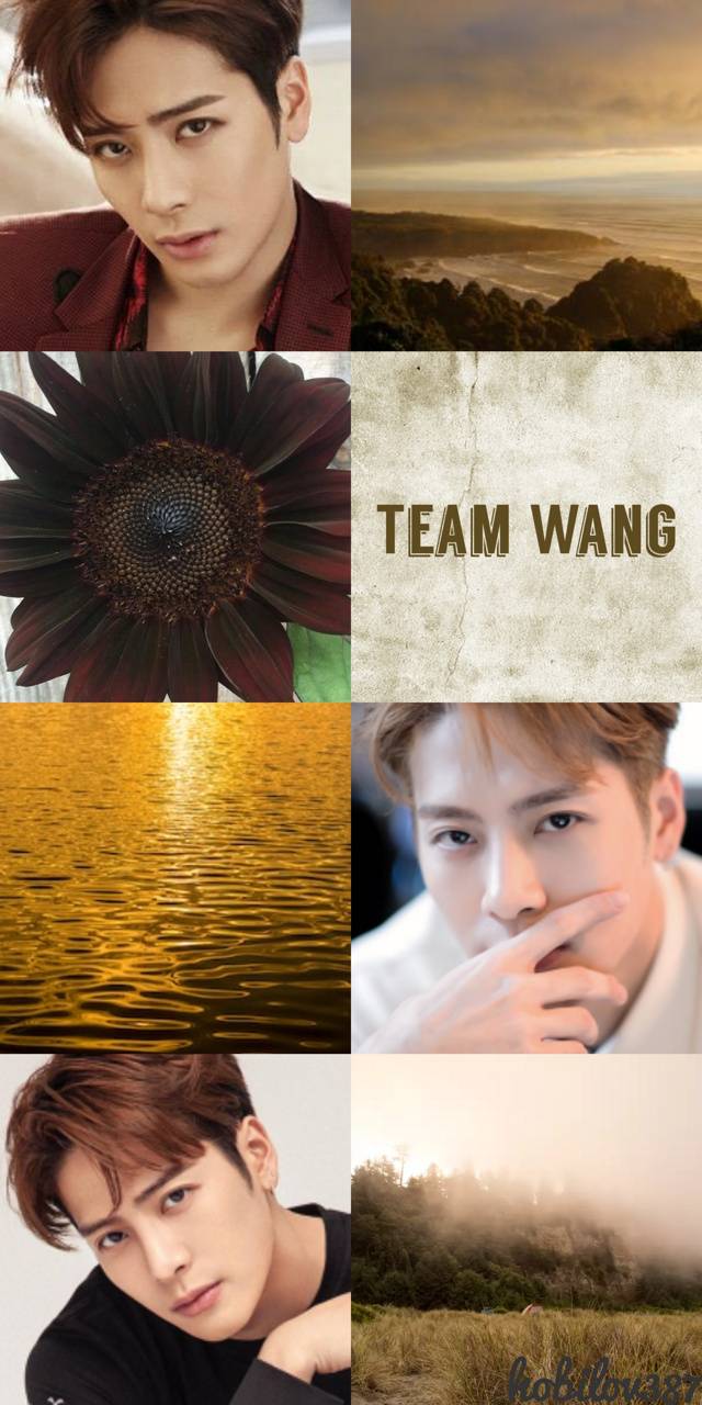 Jackson Team Wang wallpaper